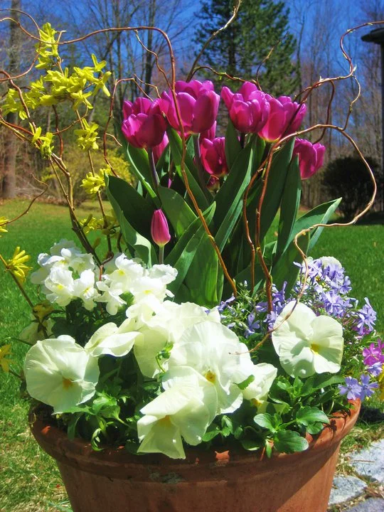 Spring planter.jpg