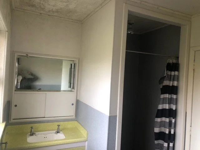 Before Bathroom.jpg