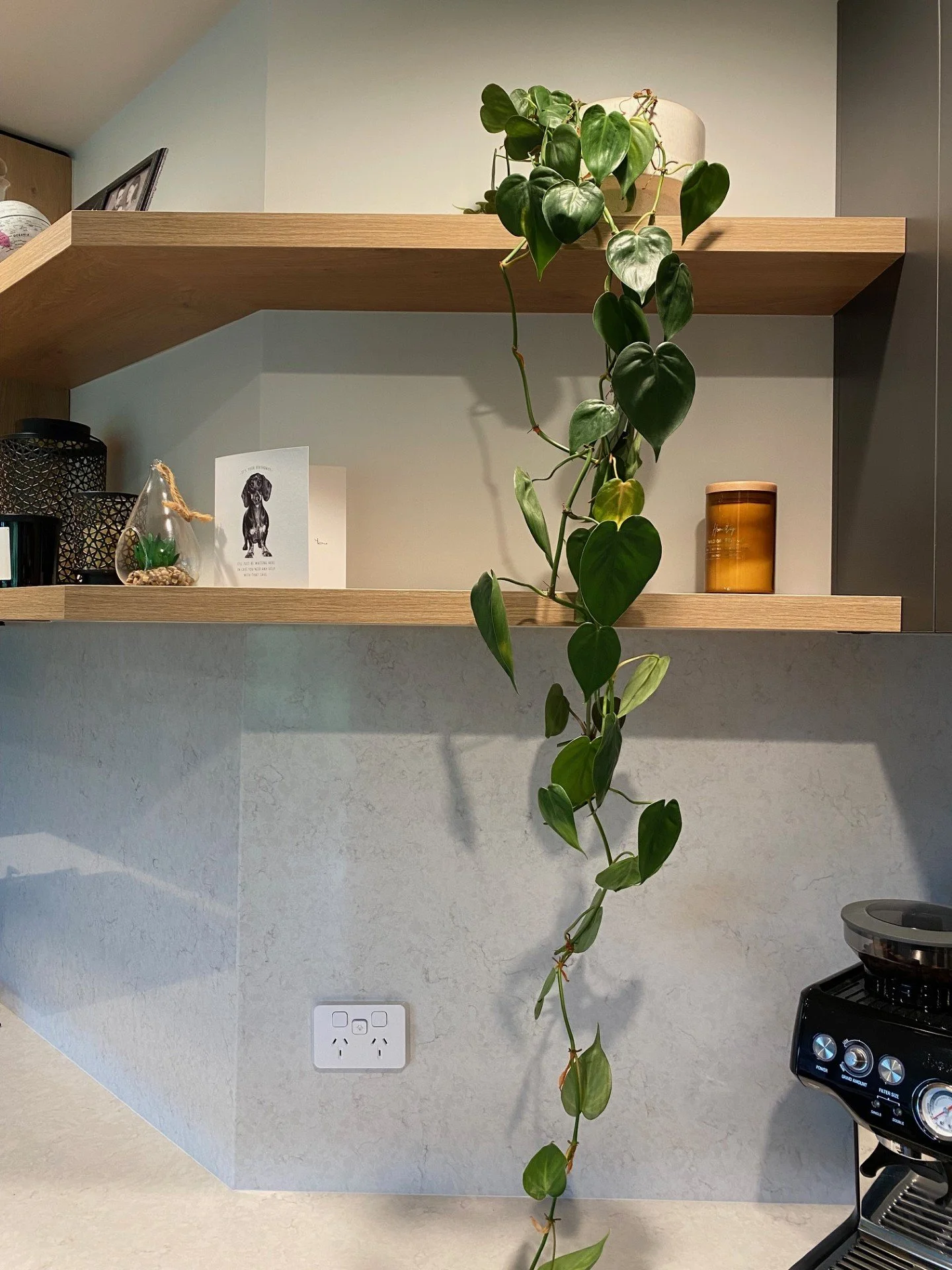 Kitchen 11.jpg