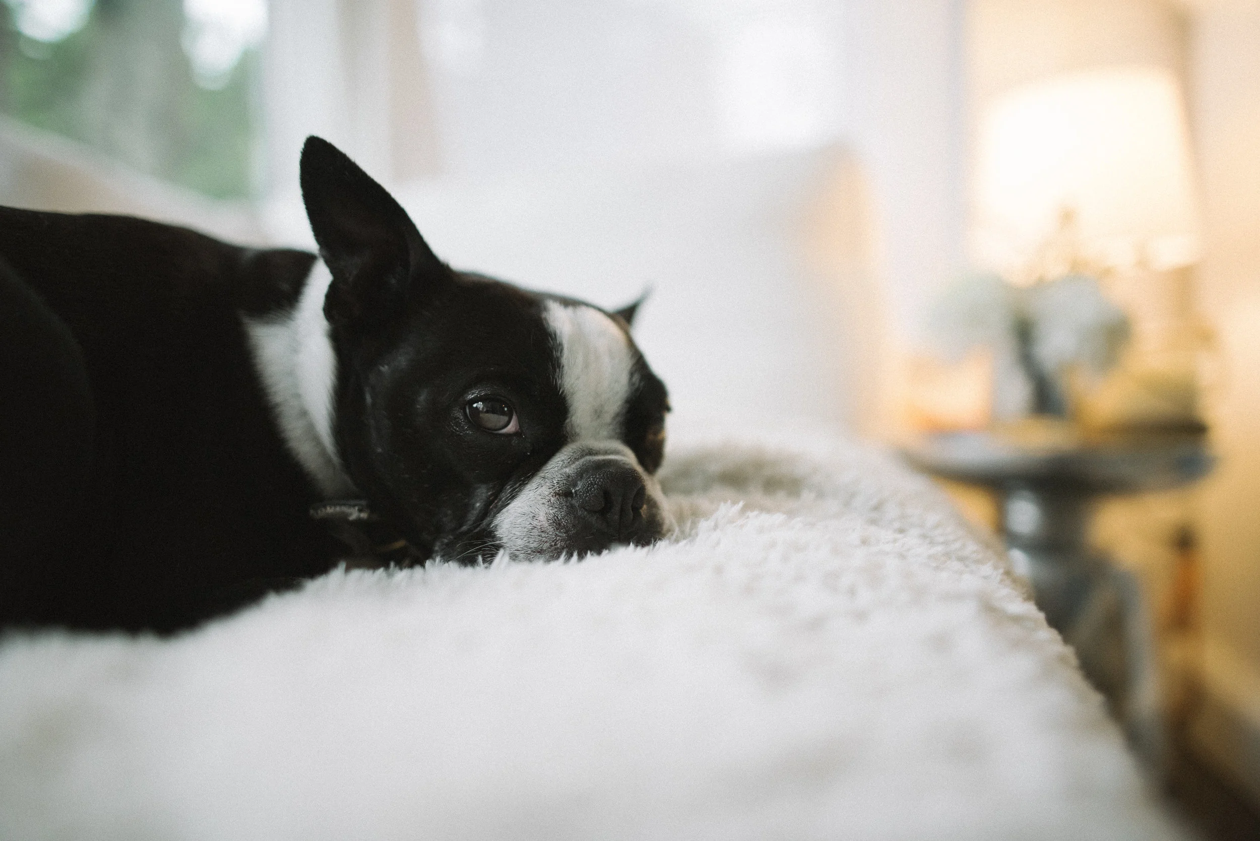 ©BenOwensPhotography_Kristin_Web_Gallery (54 of 58).jpg