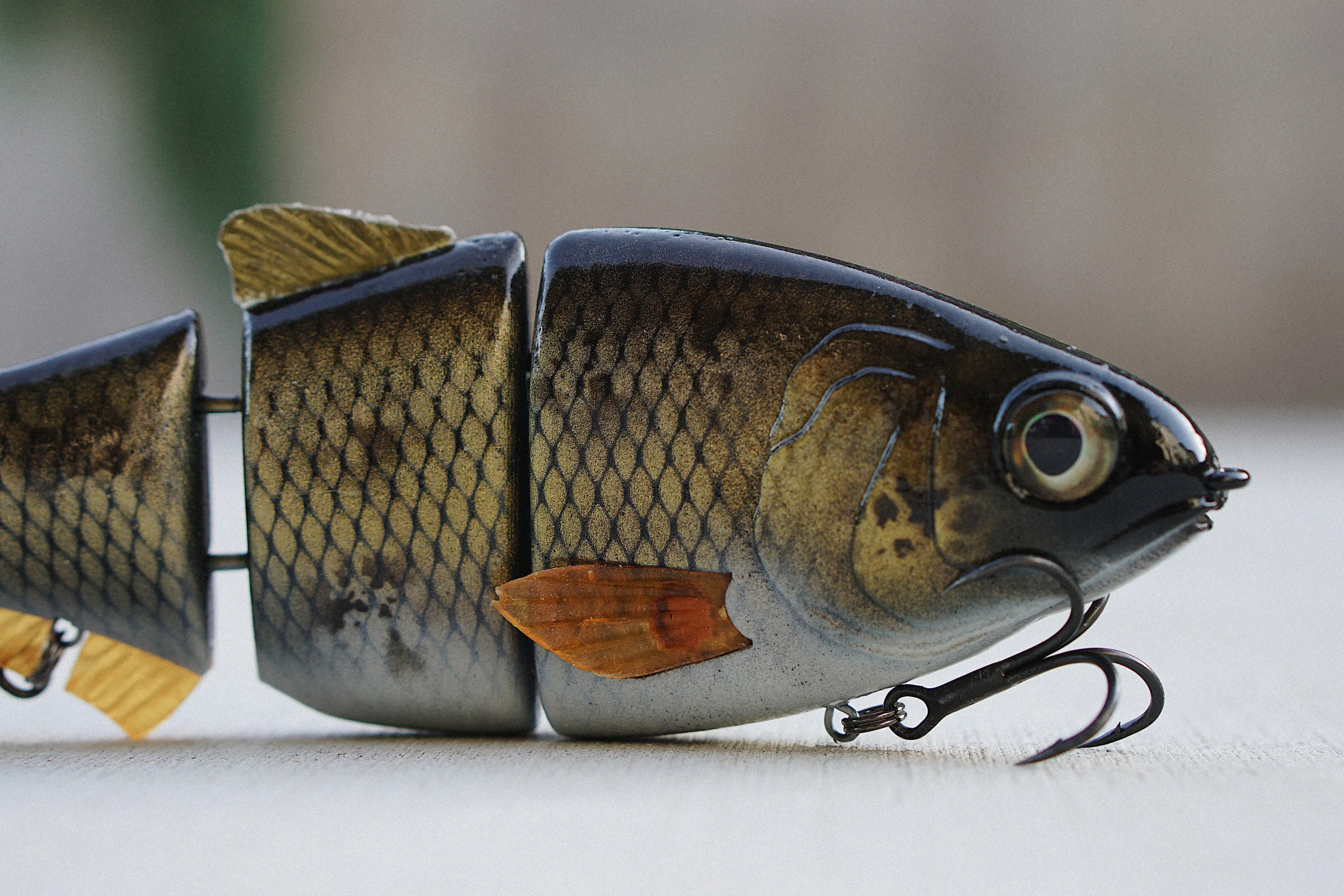 THE GOLDEN STATE SHAD — SBSRFC®