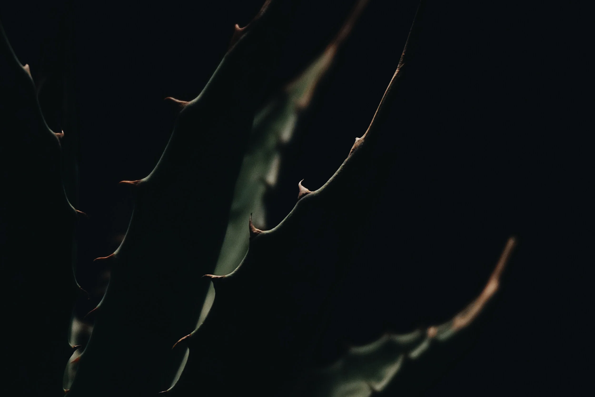 ARID_Web_Image_Landing.jpg