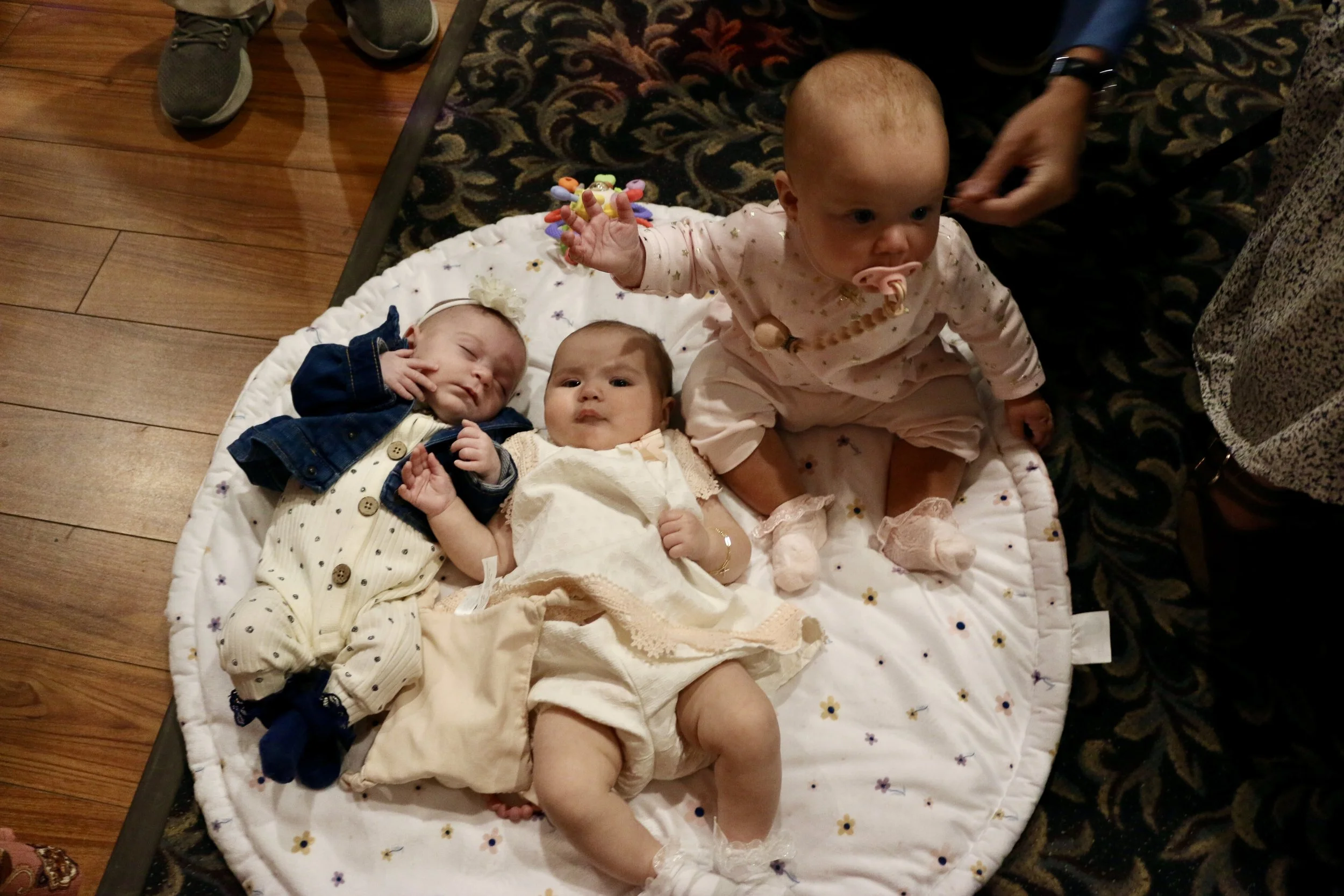 IMG_8980.JPG