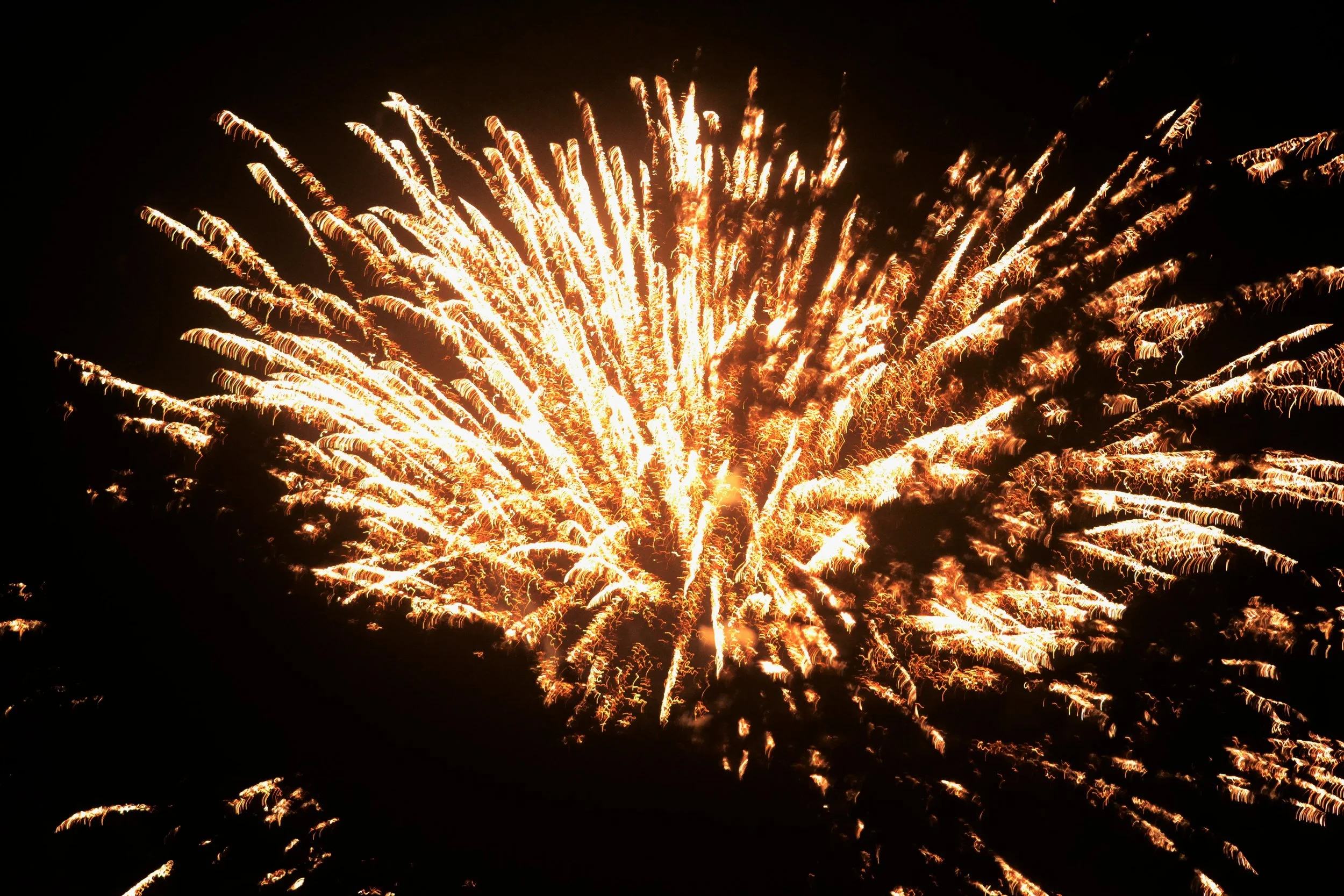 DSC_0279.JPG