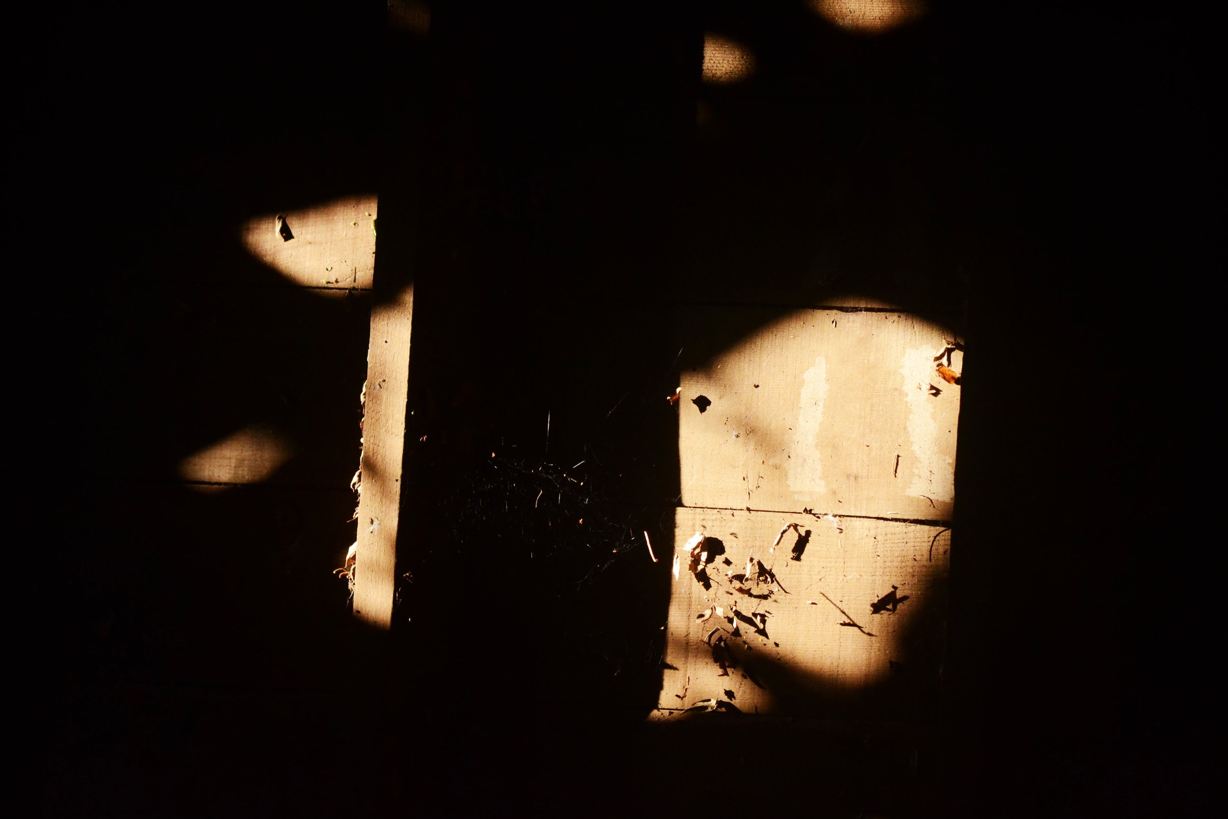 DSC_0232.JPG