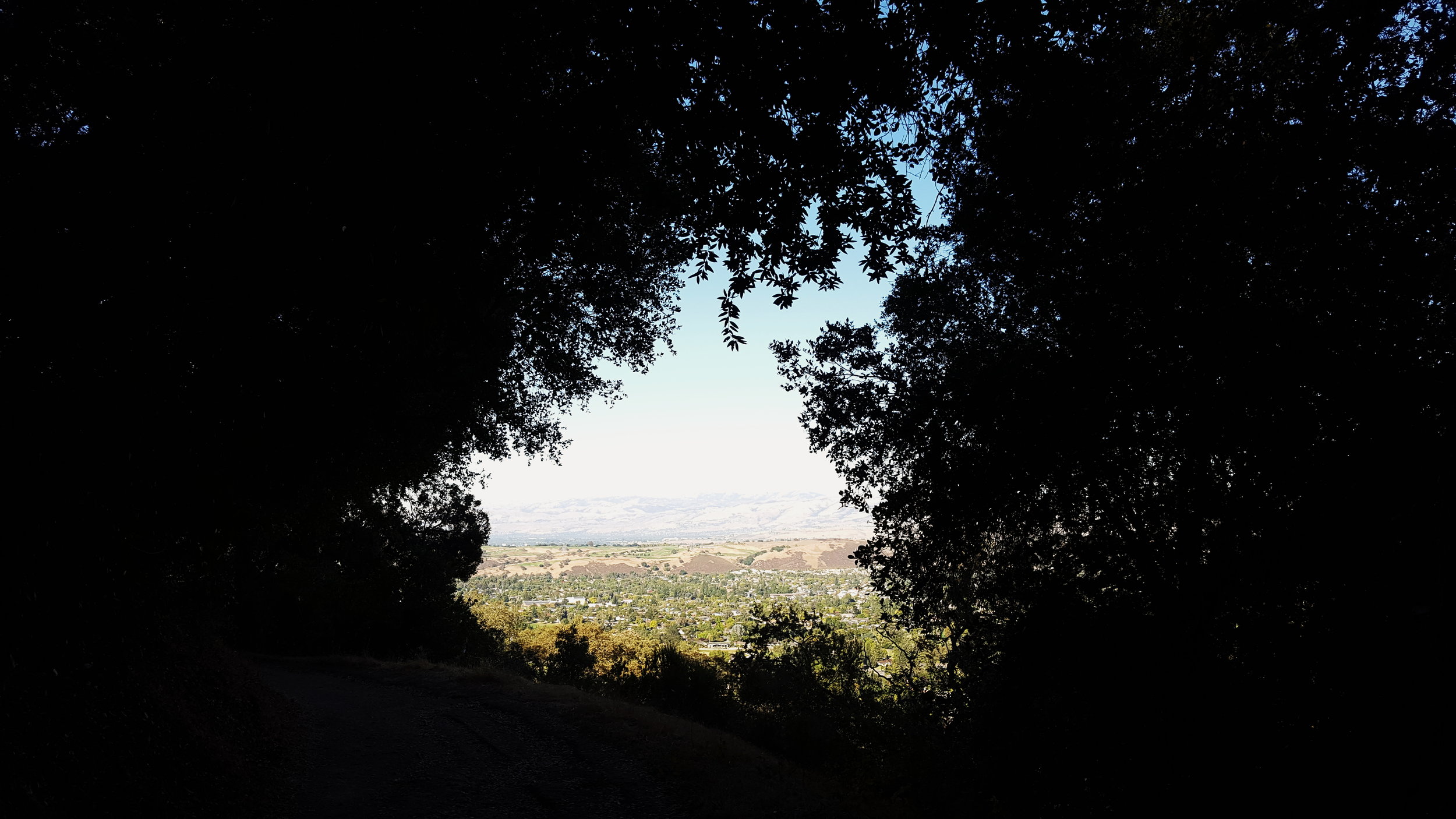 2017-10-03 06.08.44 1.jpg