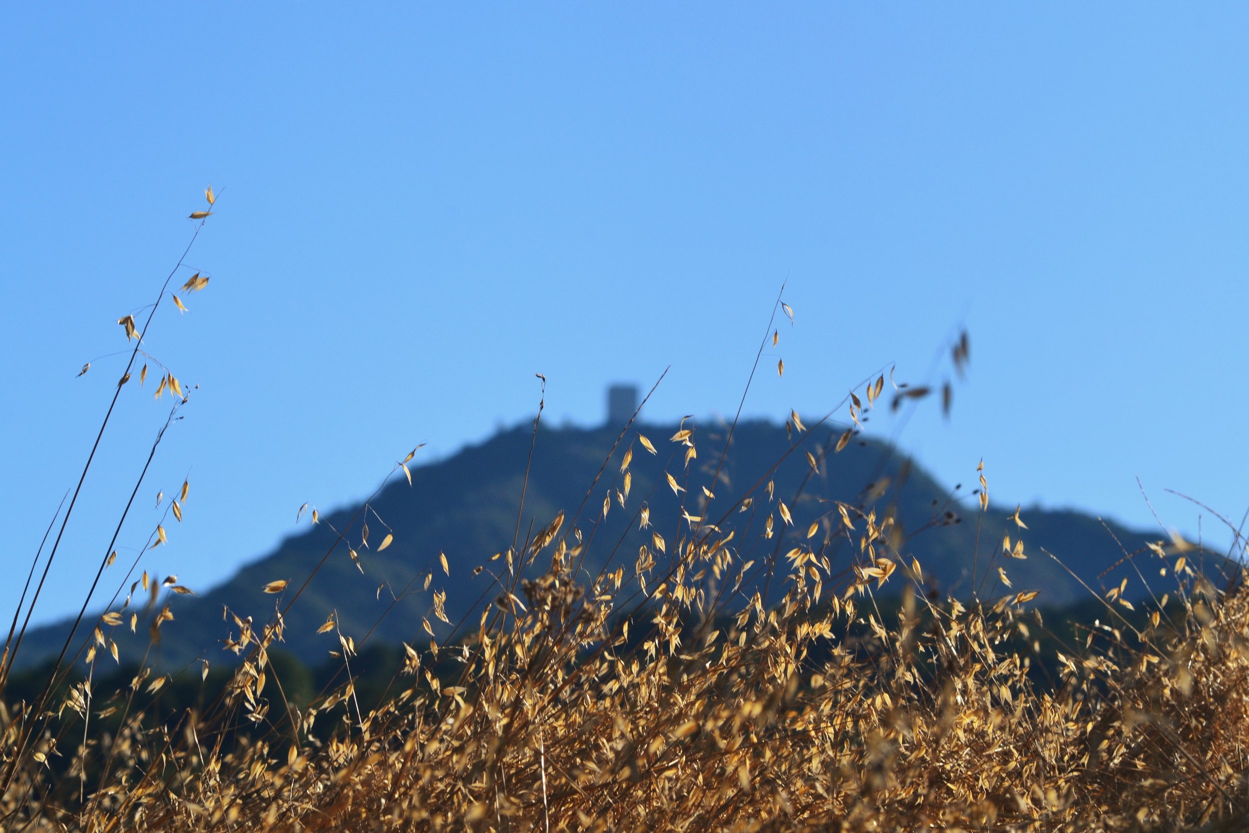 DSC_0049.JPG