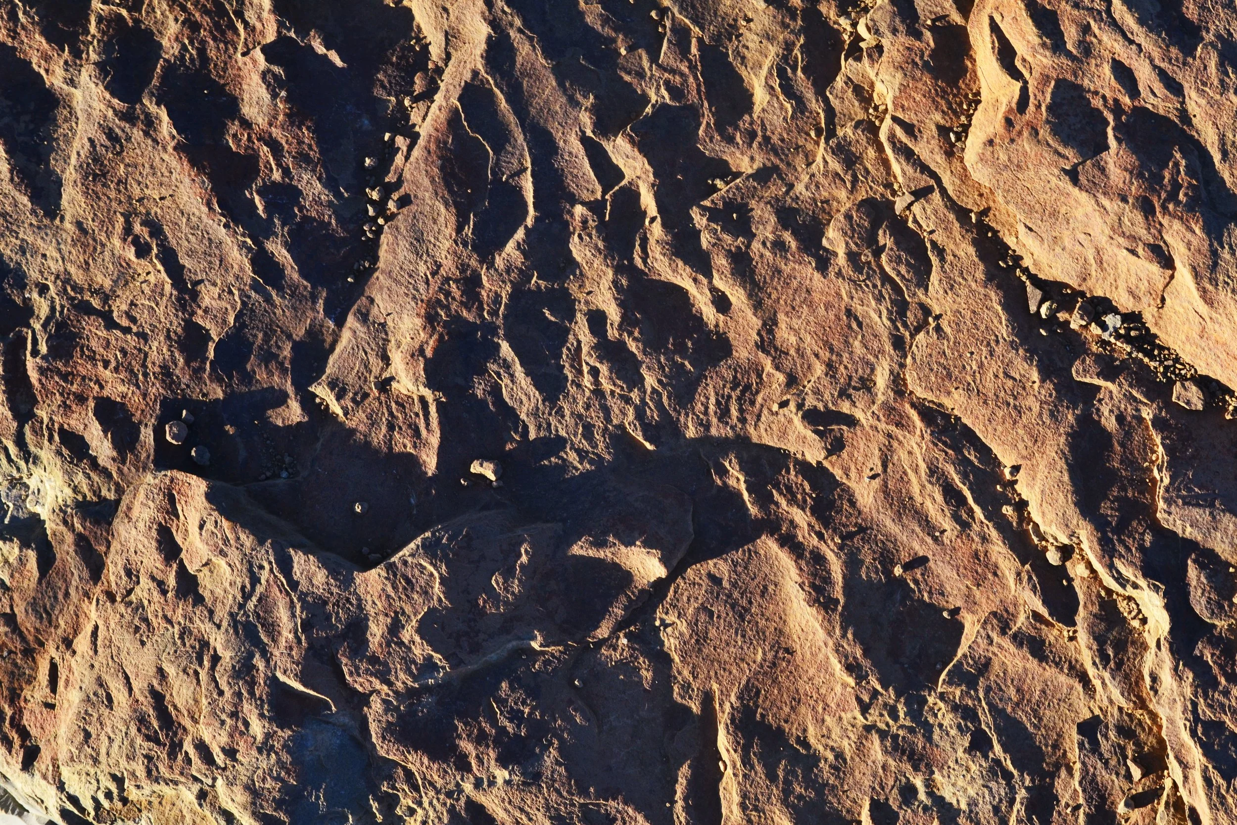 DSC_0084.JPG