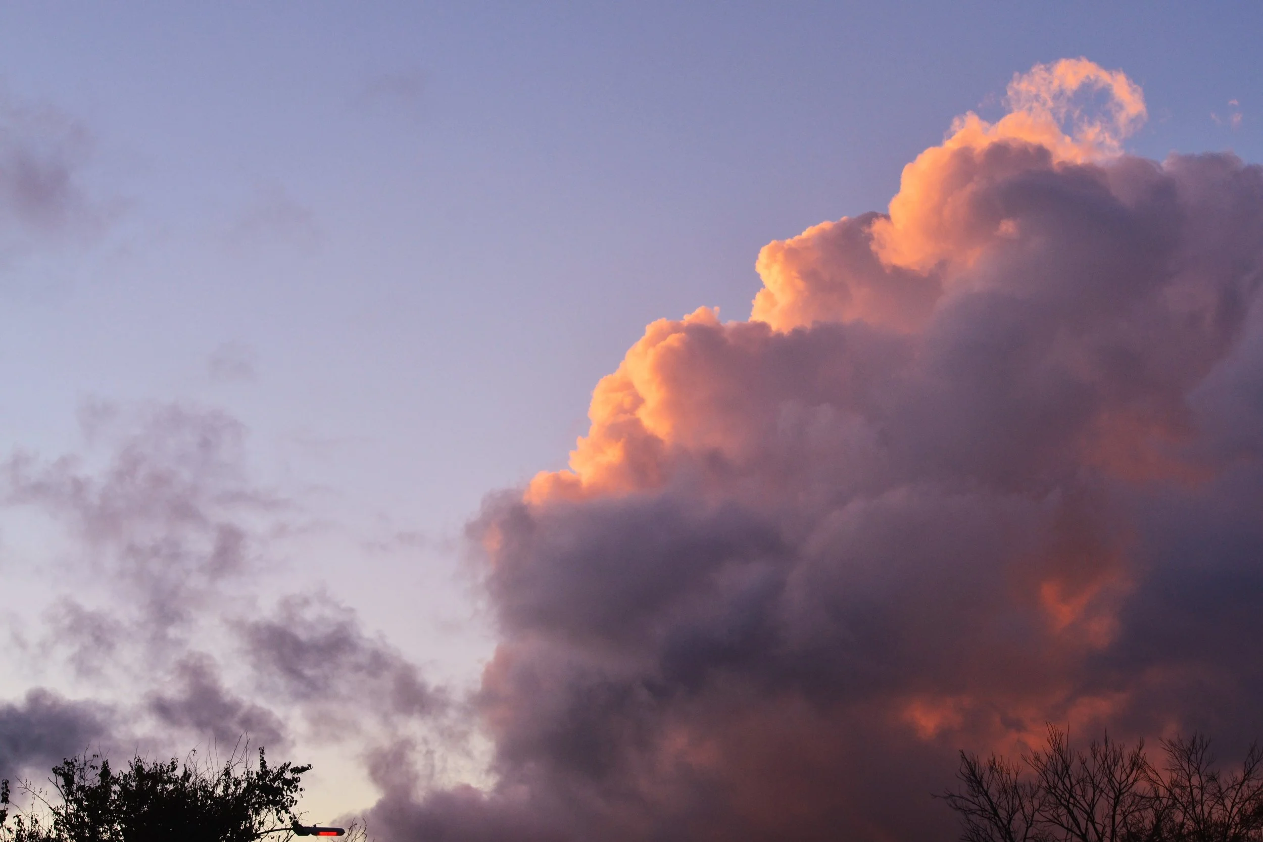 DSC_0020.JPG