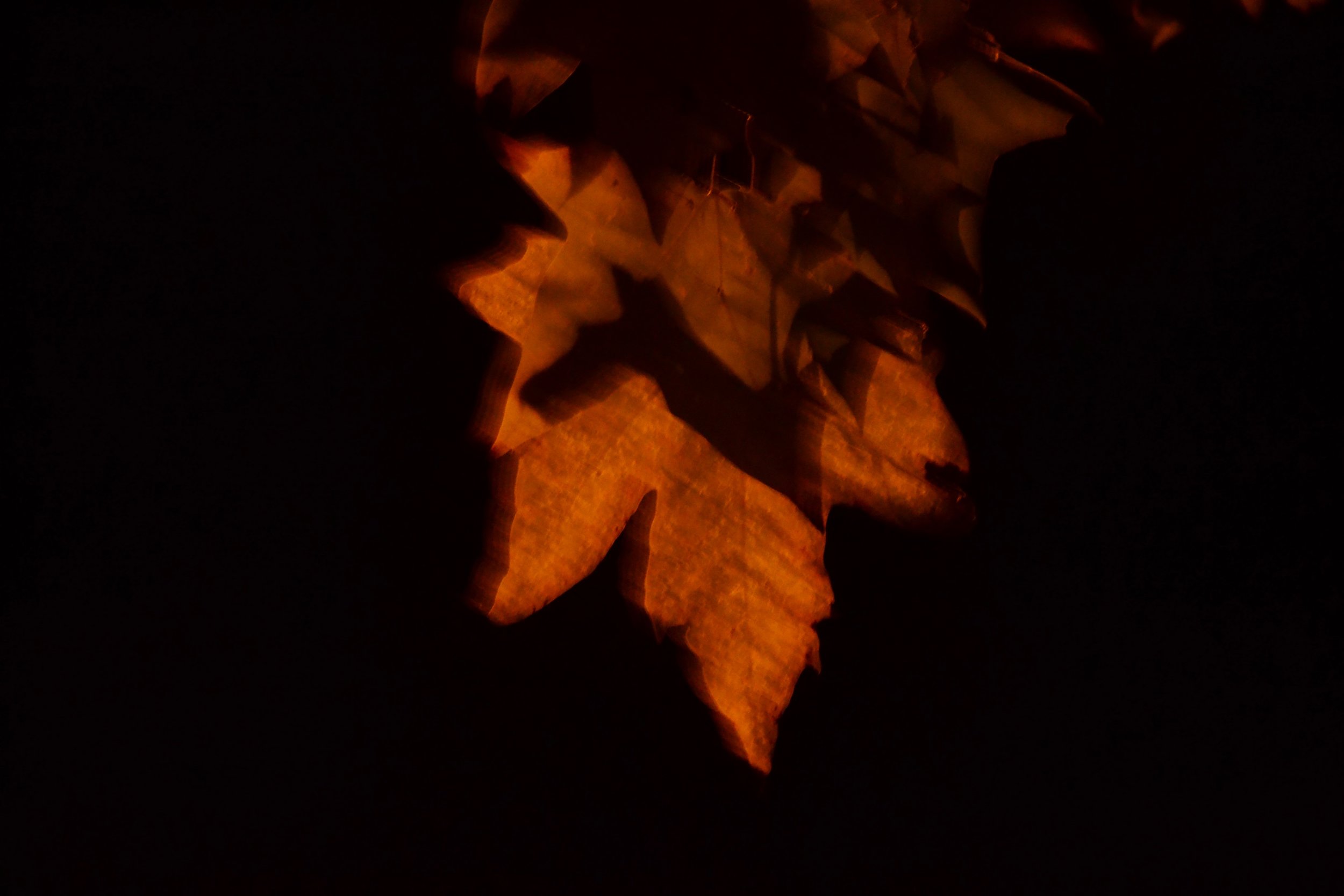 DSC_0092f.JPG