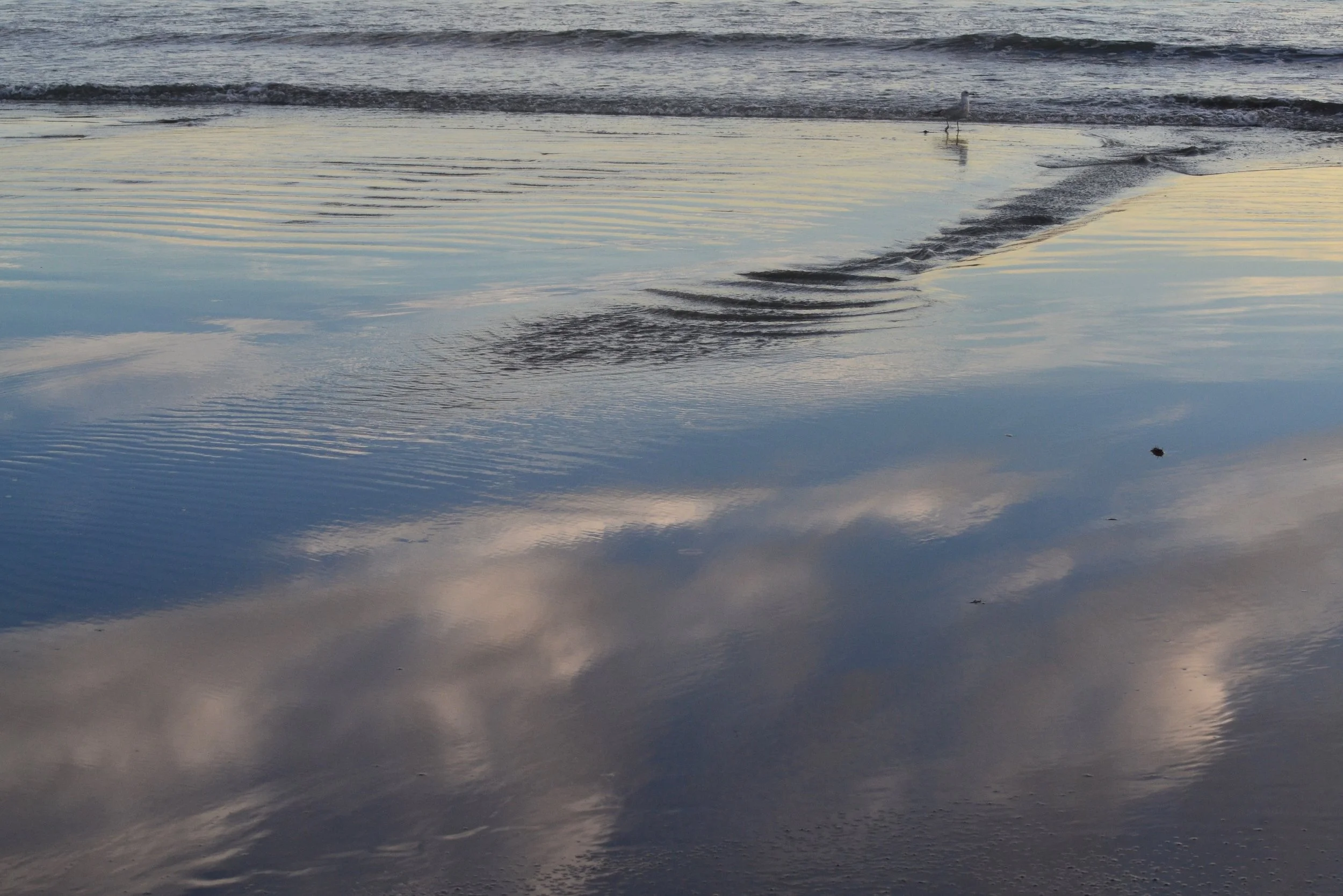DSC_0093e.JPG