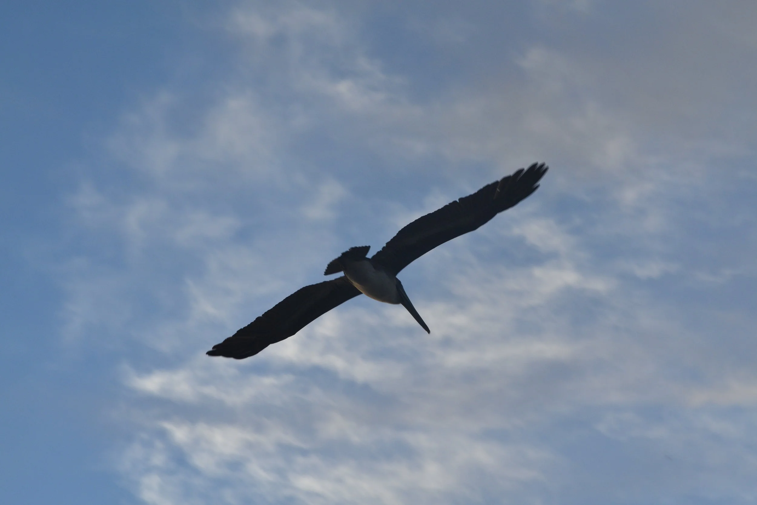 DSC_0128.JPG