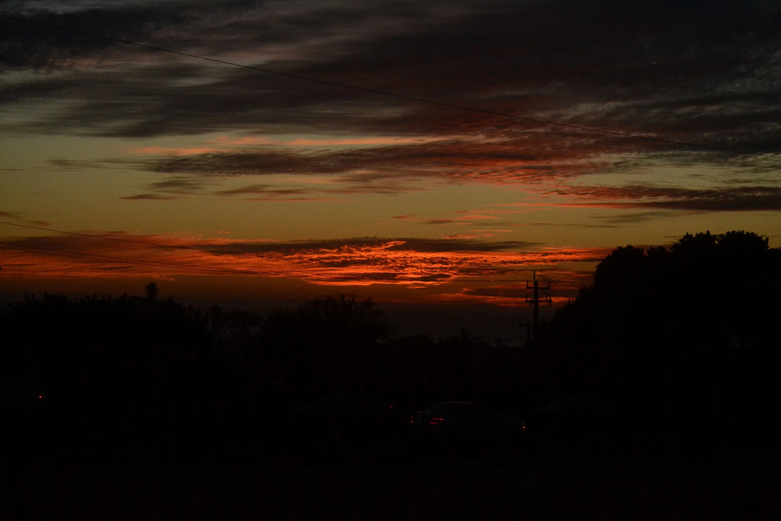 eDSC_0173.JPG
