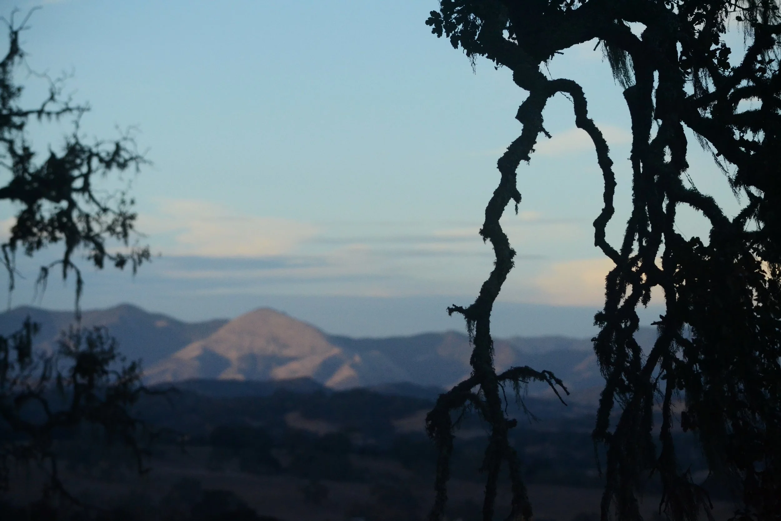eDSC_0371.JPG