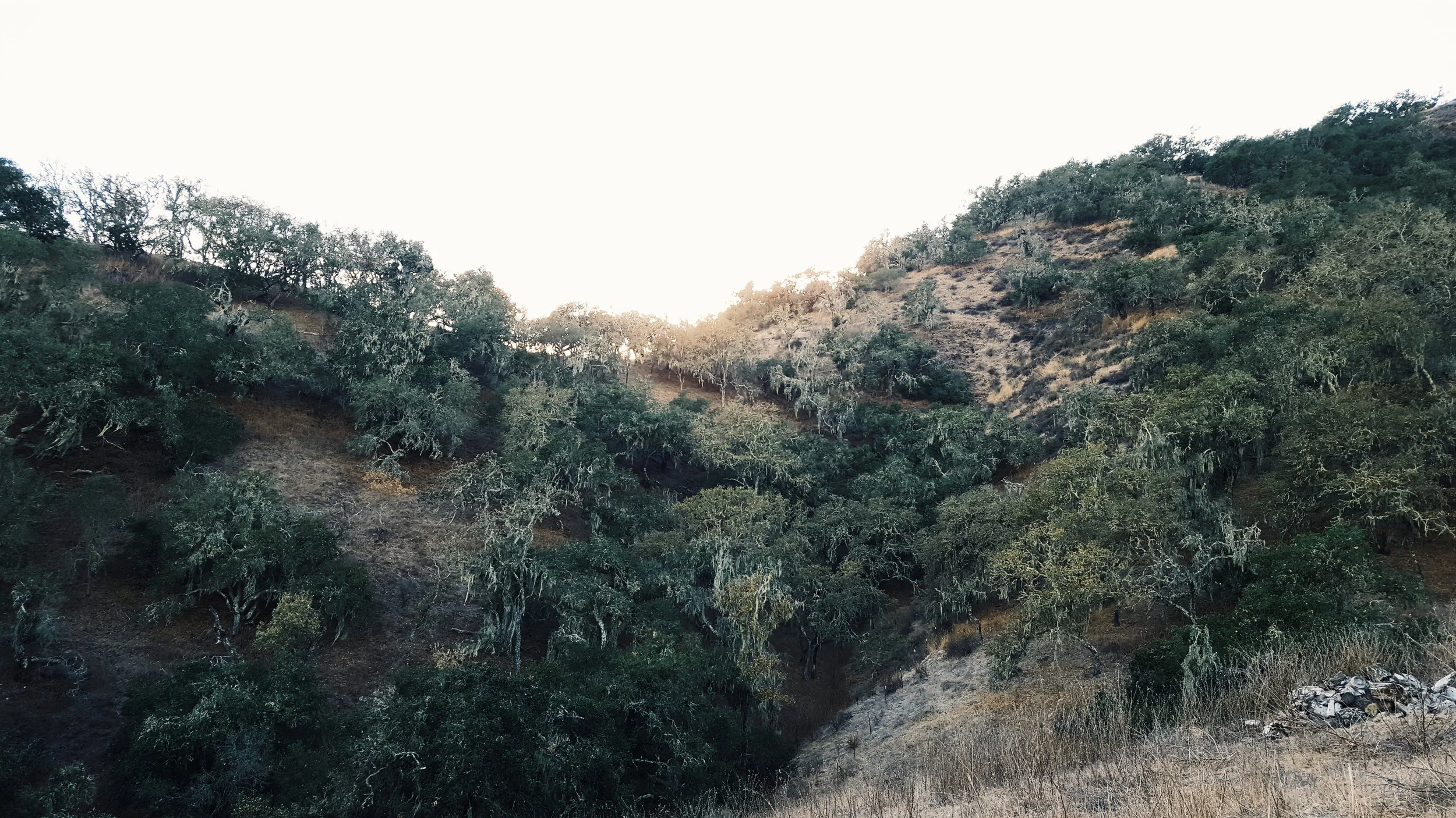 2018-01-06 01.56.28 1.jpg