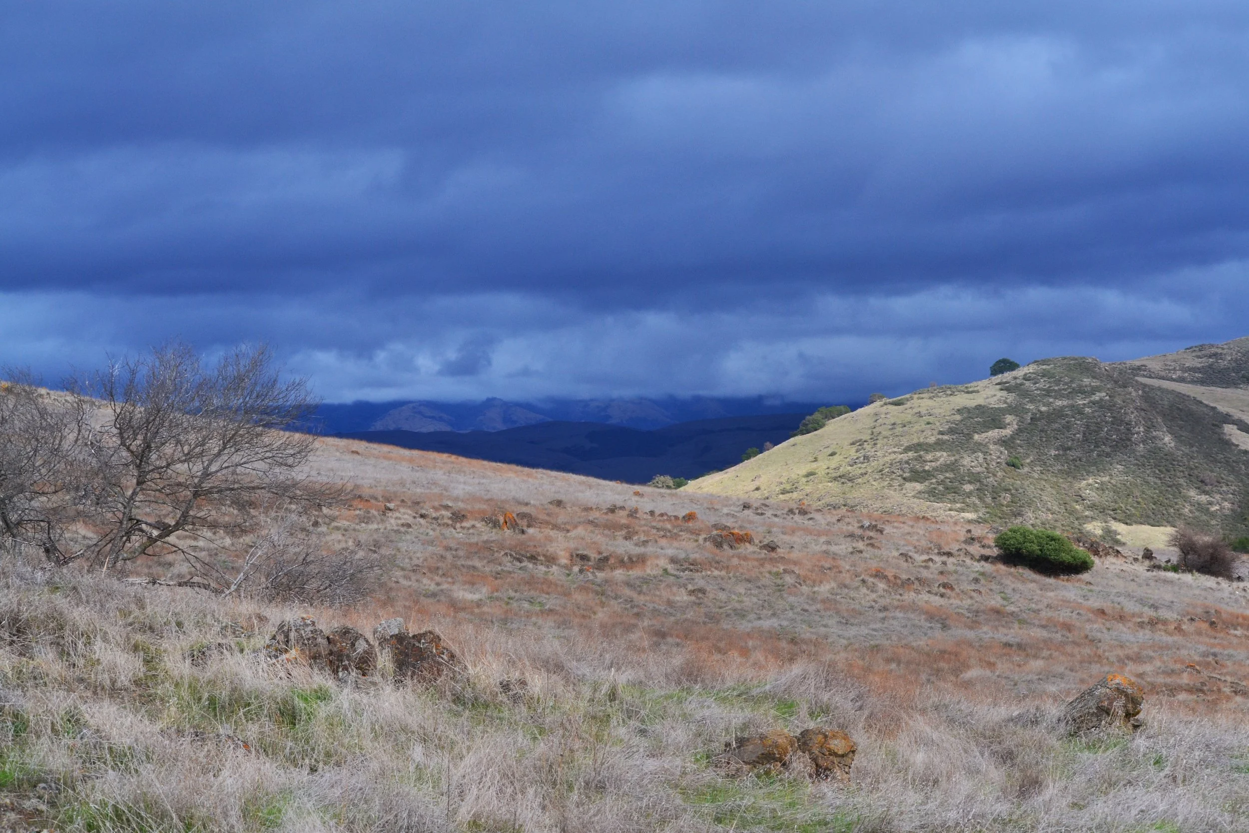eDSC_0065.JPG