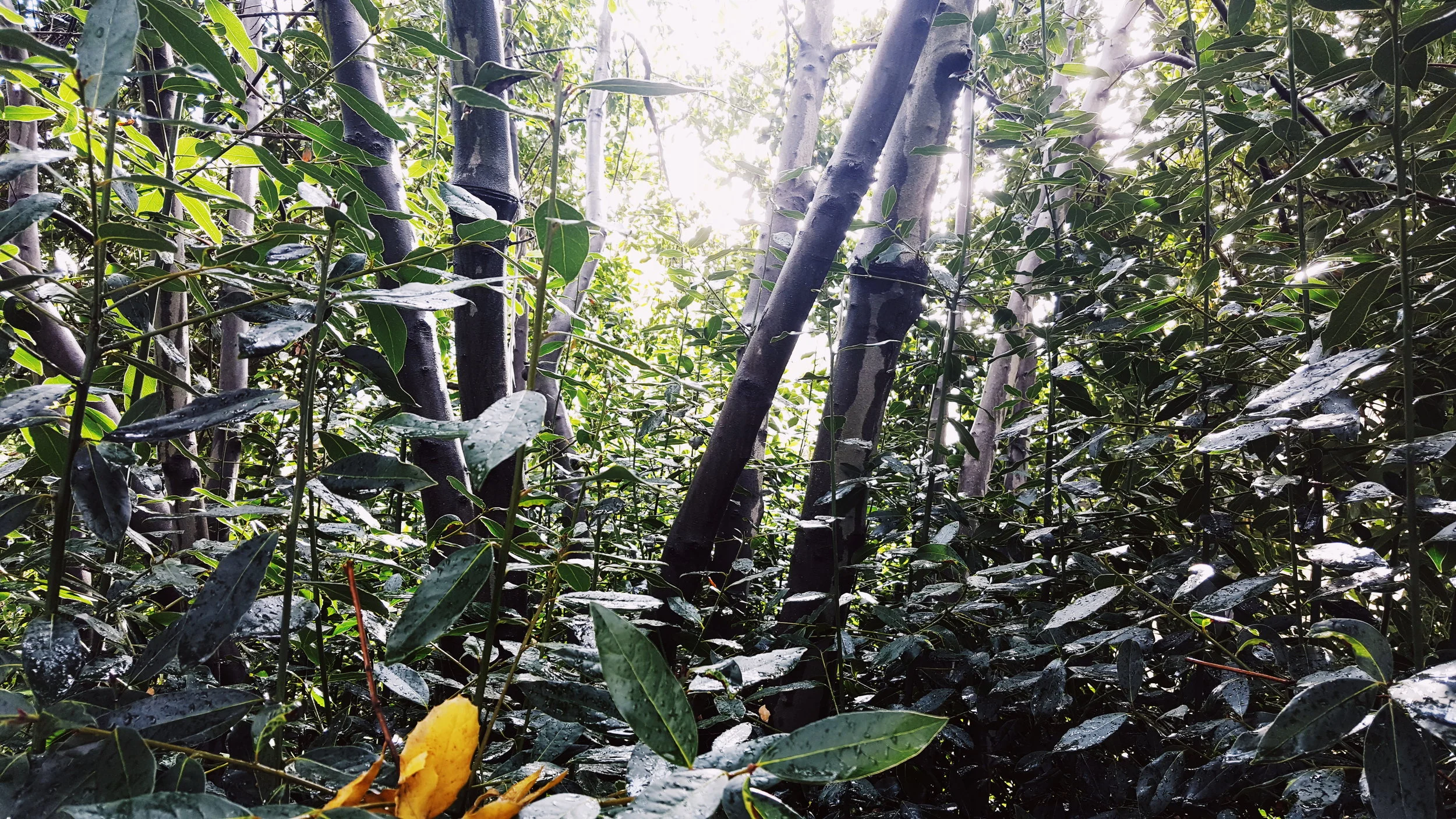 2018-03-02 02.54.22 1.jpg