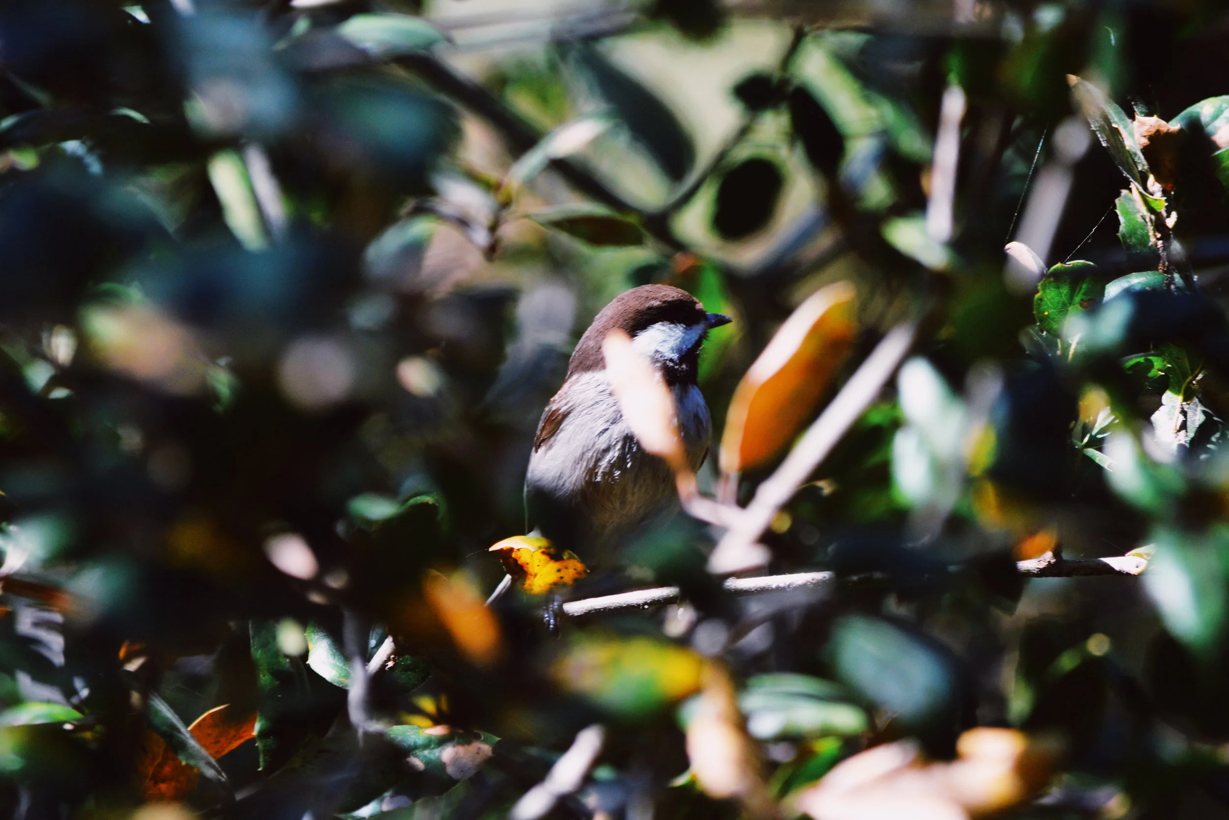 2018-02-24 04.10.56 1.jpg