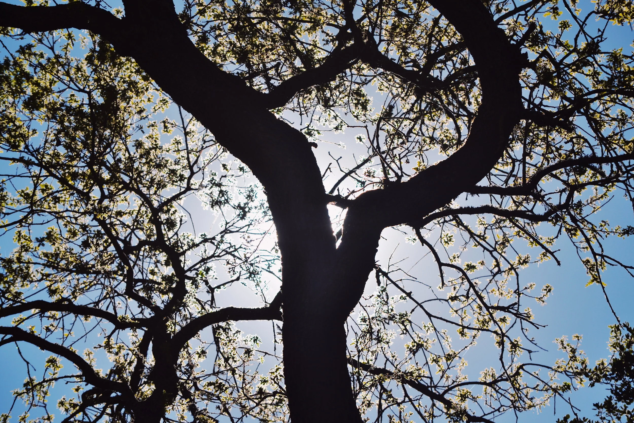 2018-02-24 04.10.57 1.jpg