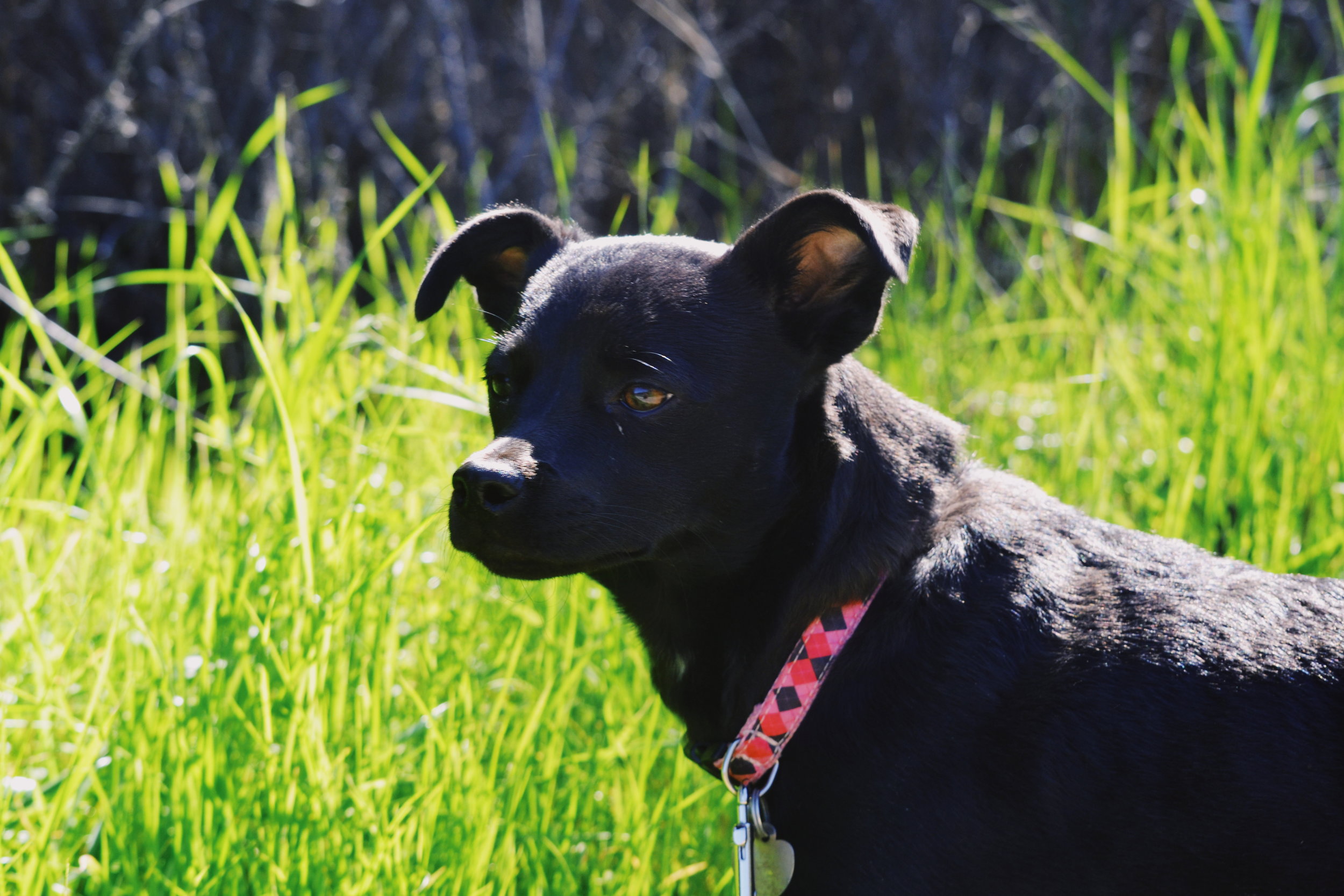 2018-02-24 04.10.53 1.jpg