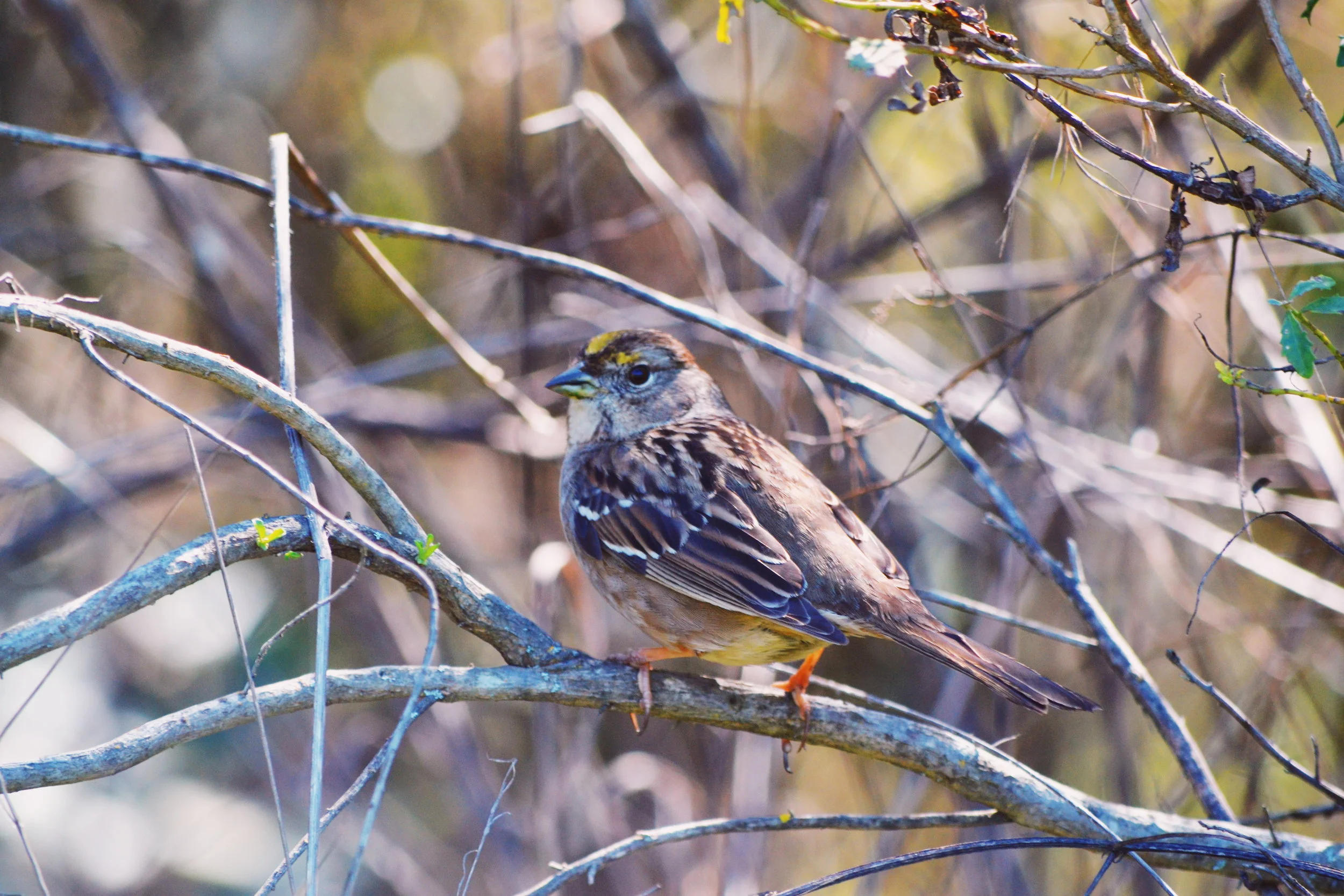 2018-02-24 04.10.55 1.jpg