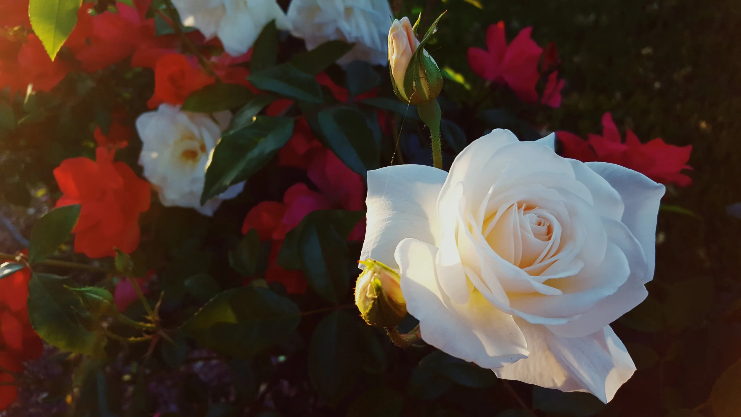 2018-04-27 02.07.57 1.jpg