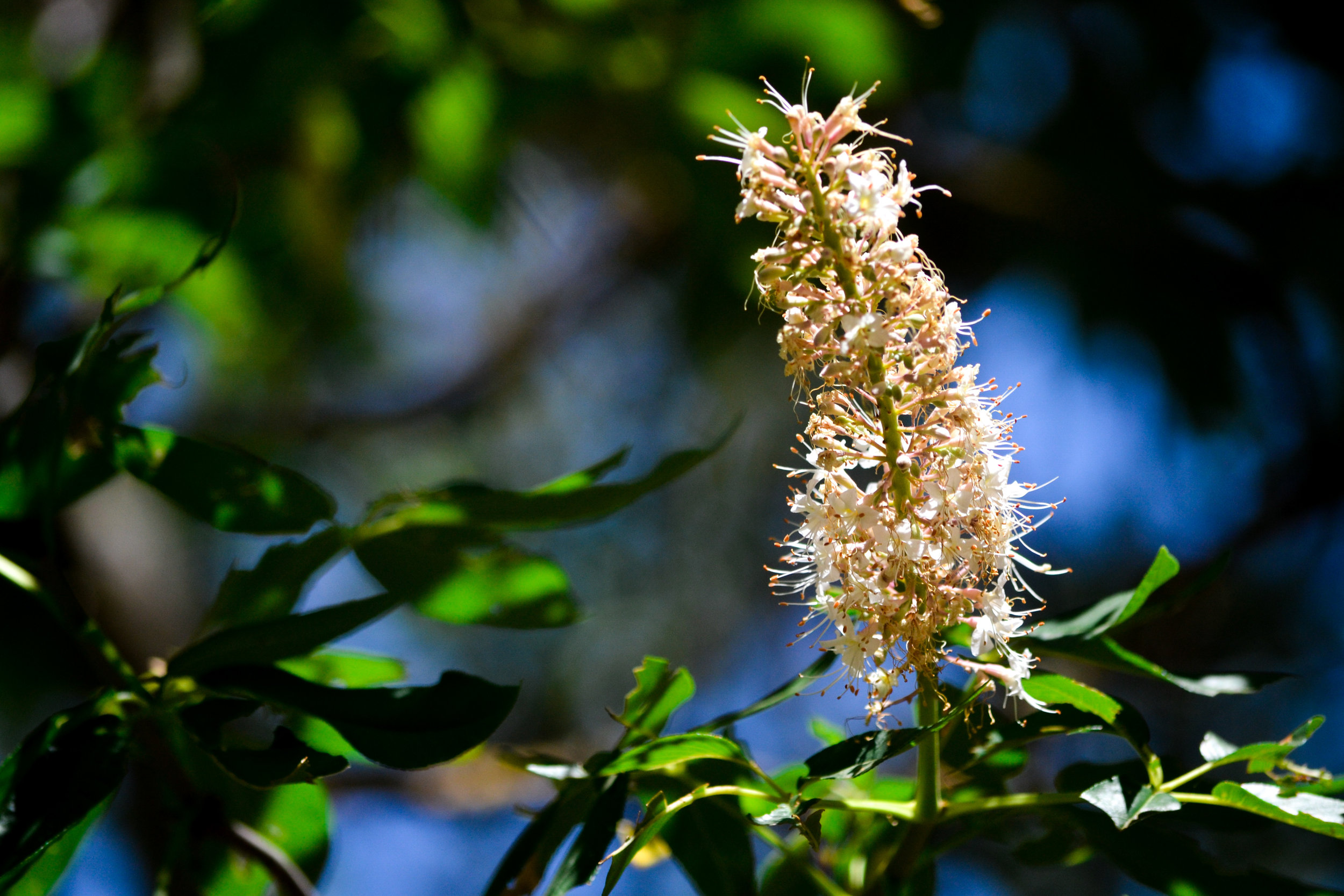 LRM_EXPORT_20180602_135920.jpg