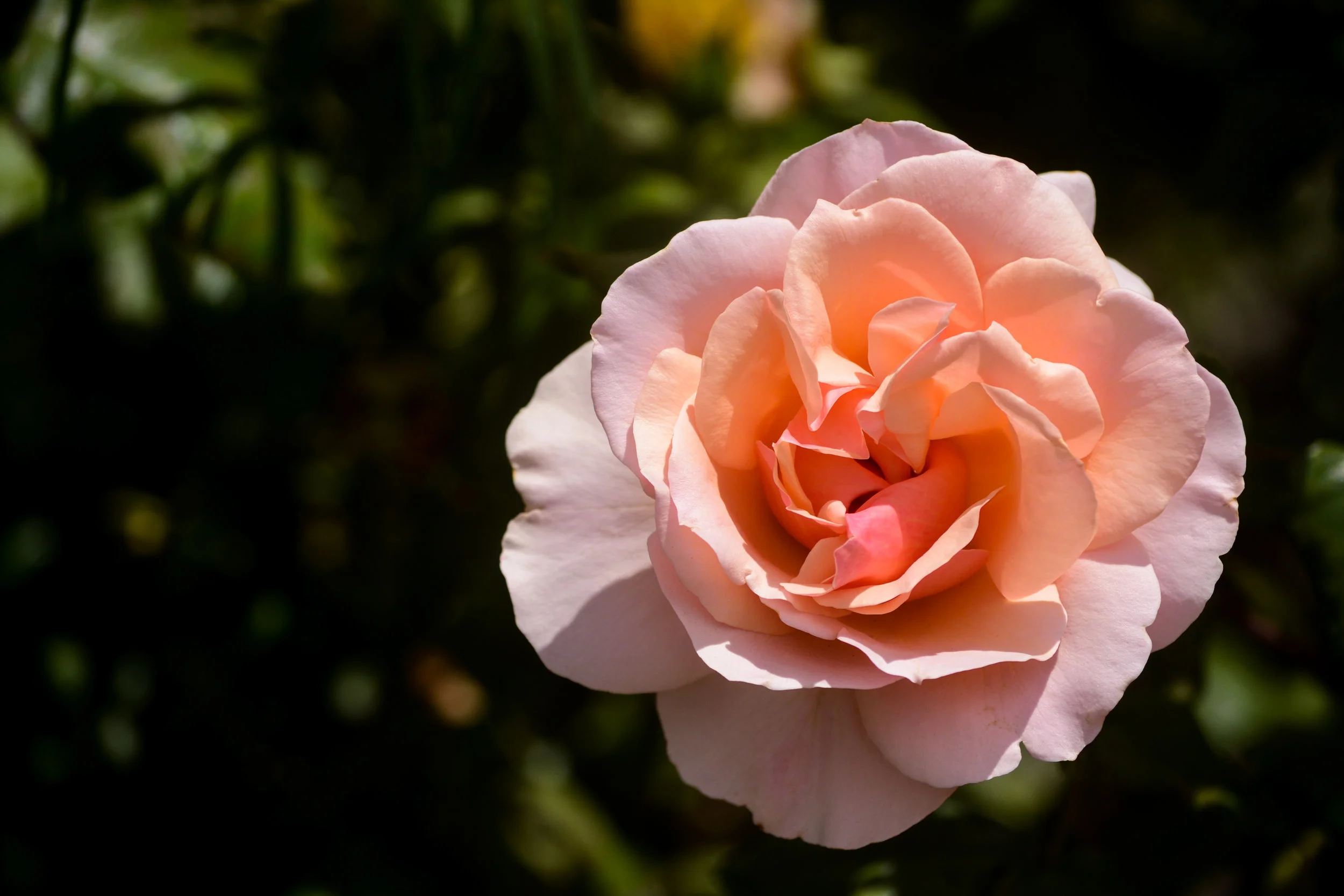 LRM_EXPORT_20180602_141357.jpg