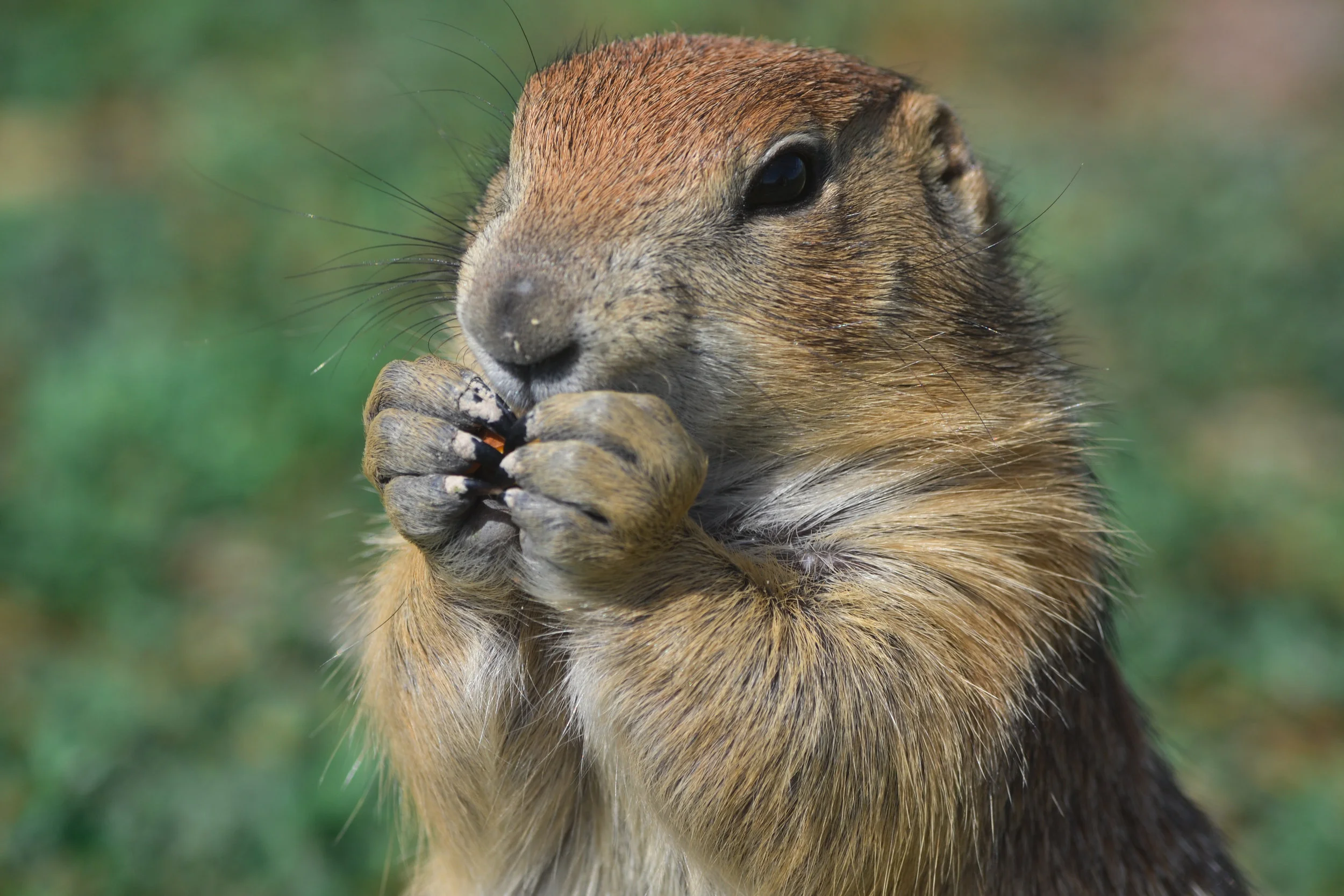 LRM_EXPORT_12671361428034_20180901_172130484.jpeg