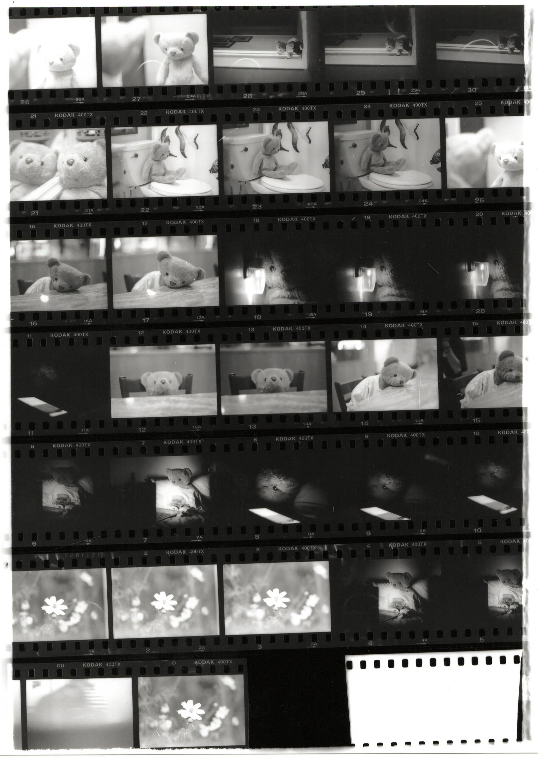 Contact Sheet-2.jpg