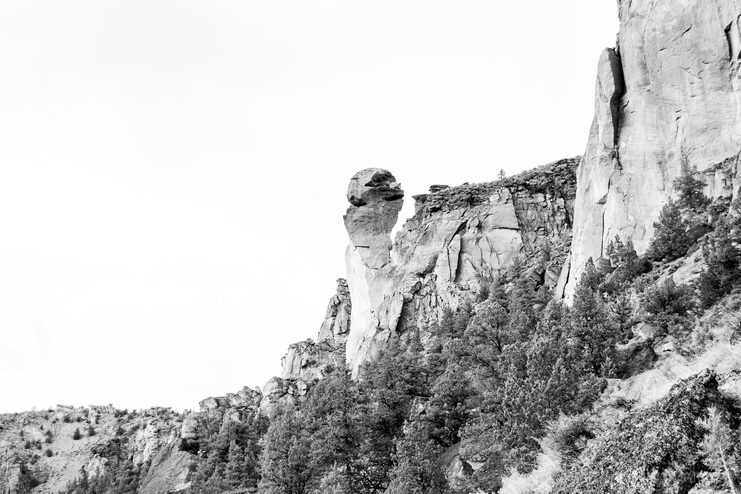 Misery Trail_Elitecam_2019 (1 of 1).jpg