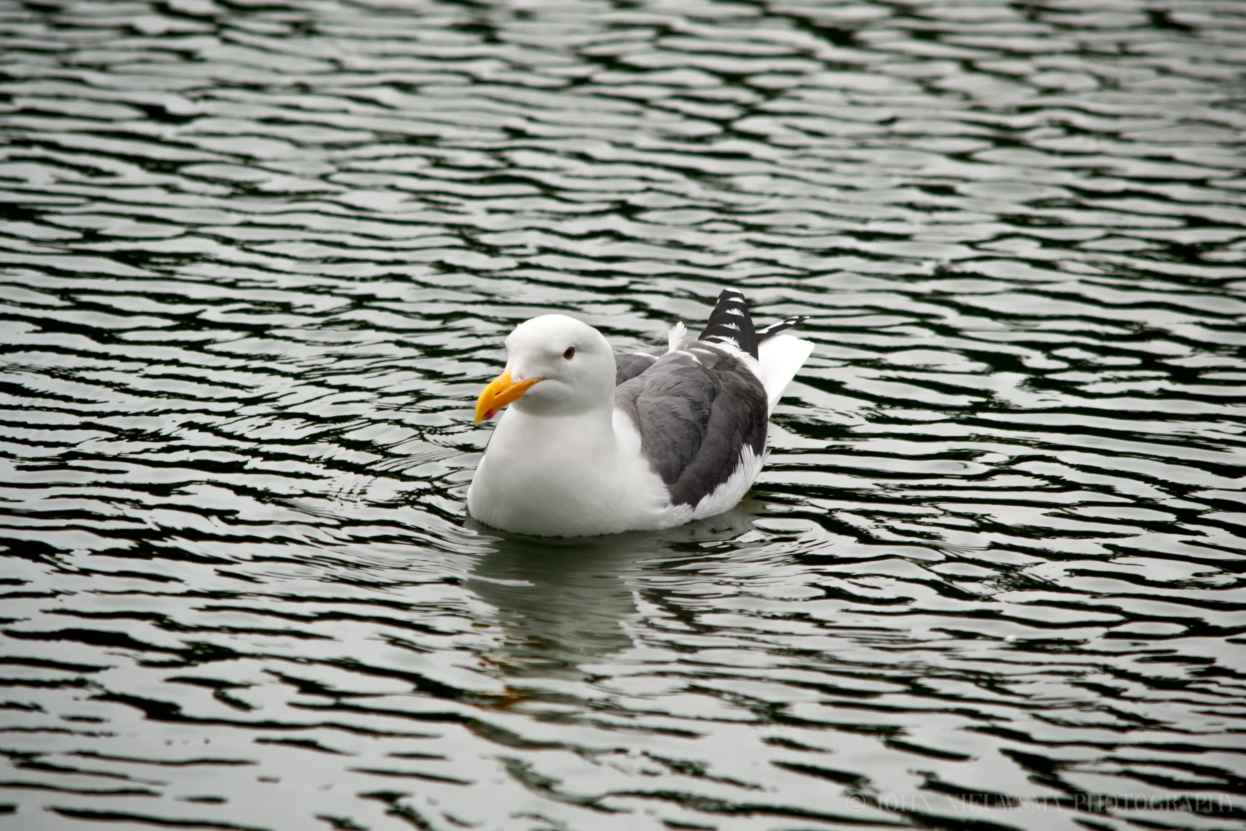 Romantic Memories: Floating On The Surface Like Glass III