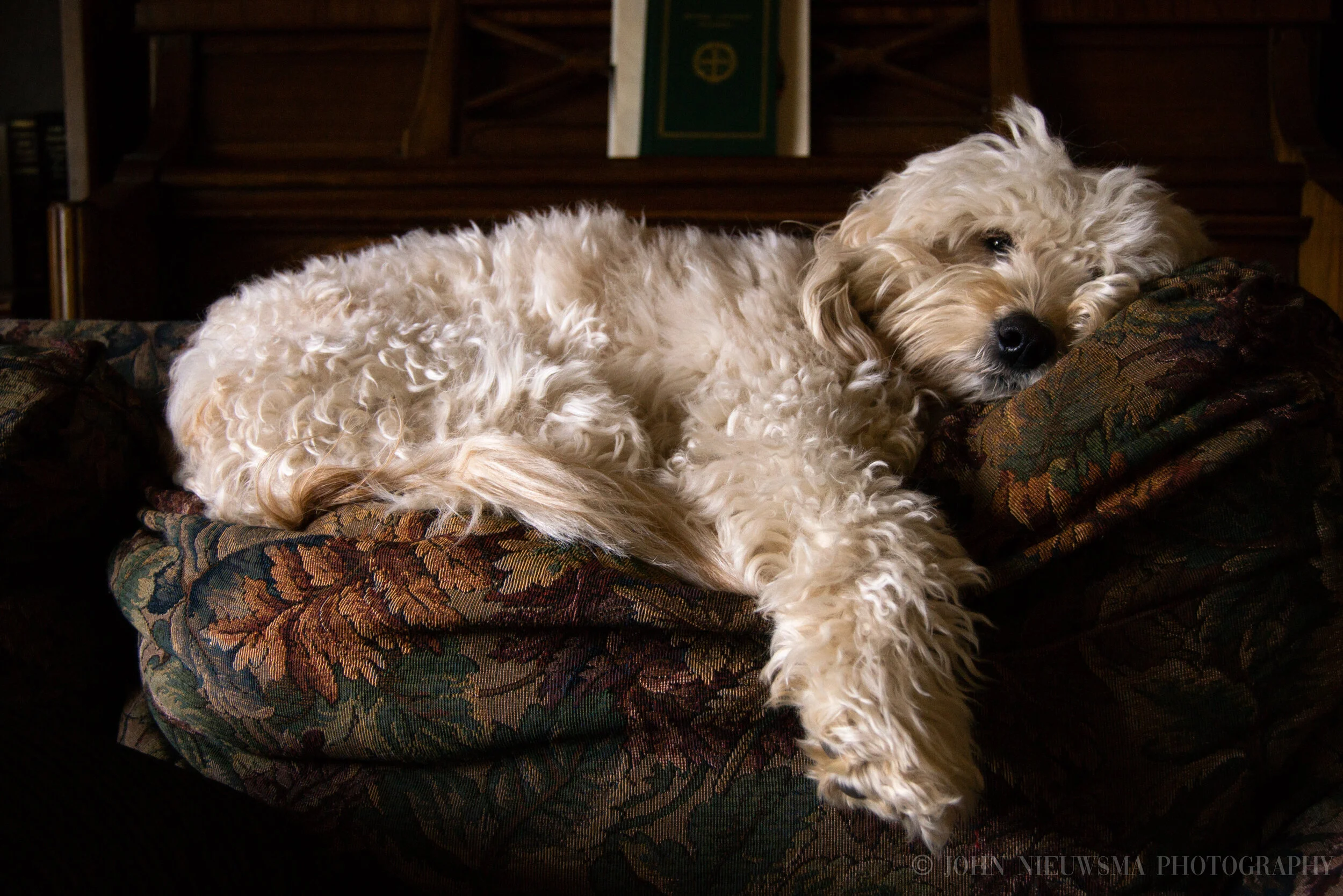 Lazy Days