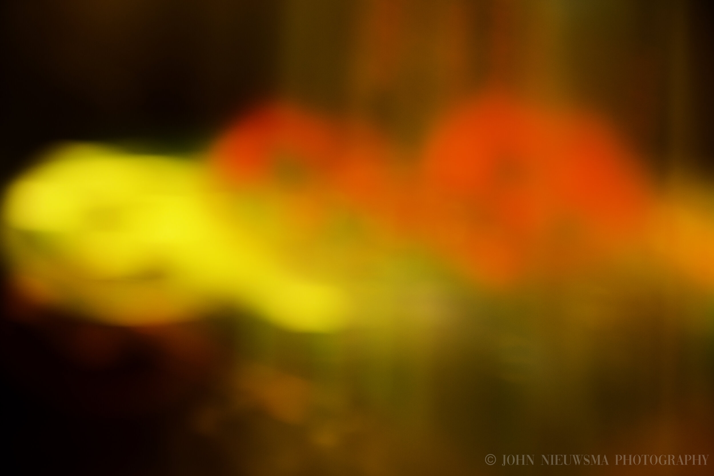 The Color of Light v.6
