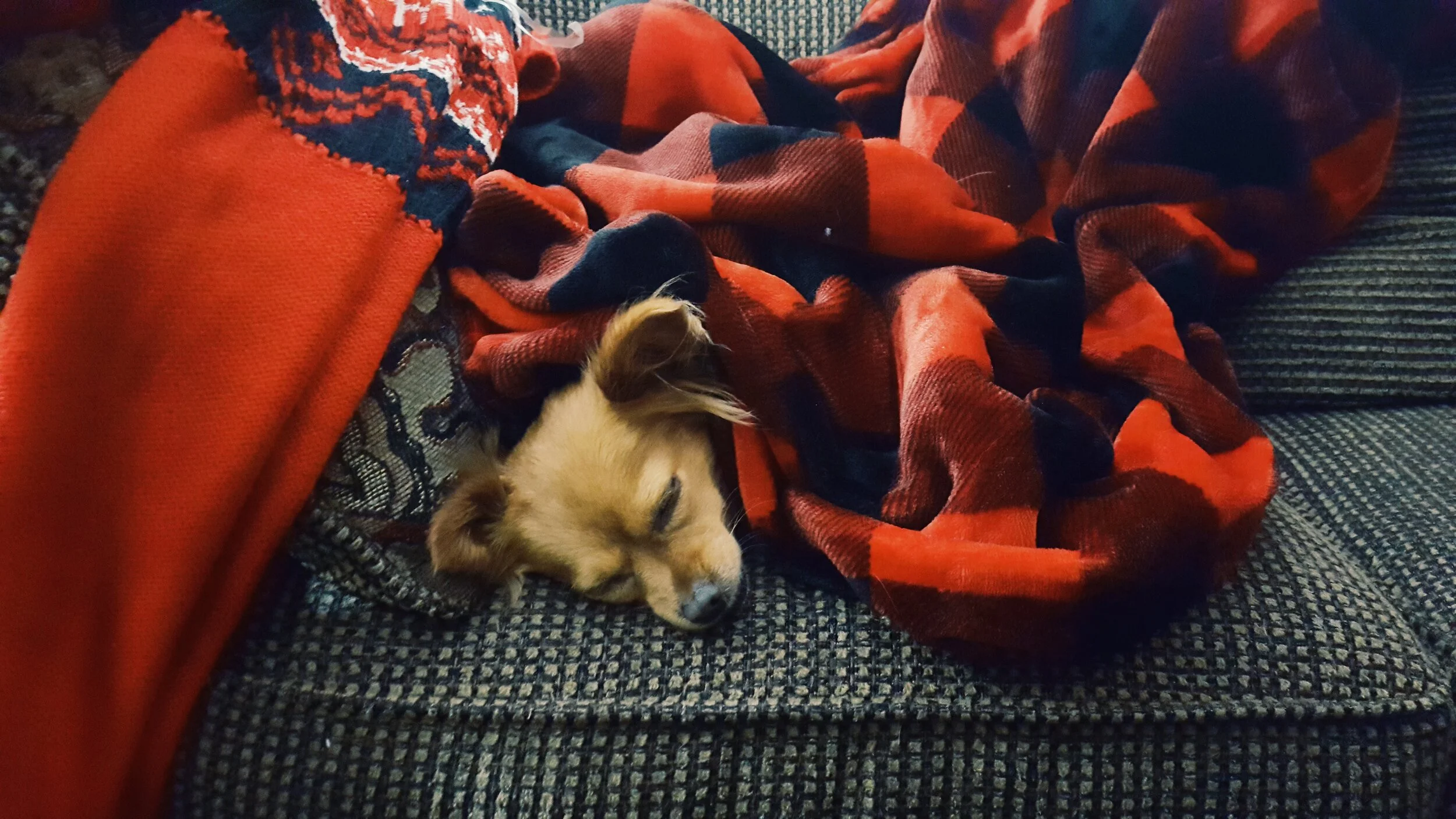 Good Night, Friend