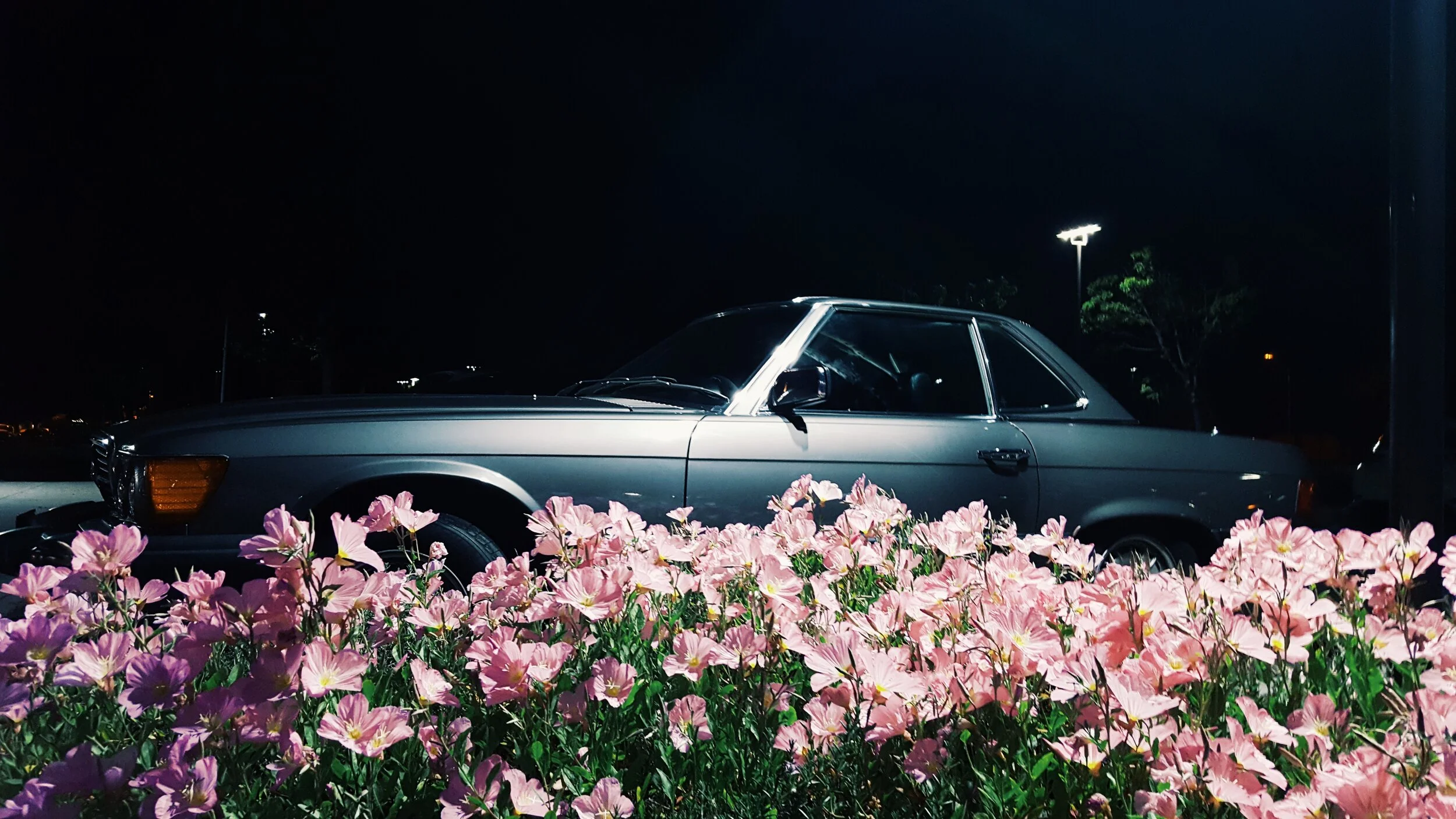 Floral Memories (Ahhh Yes, Good Times)