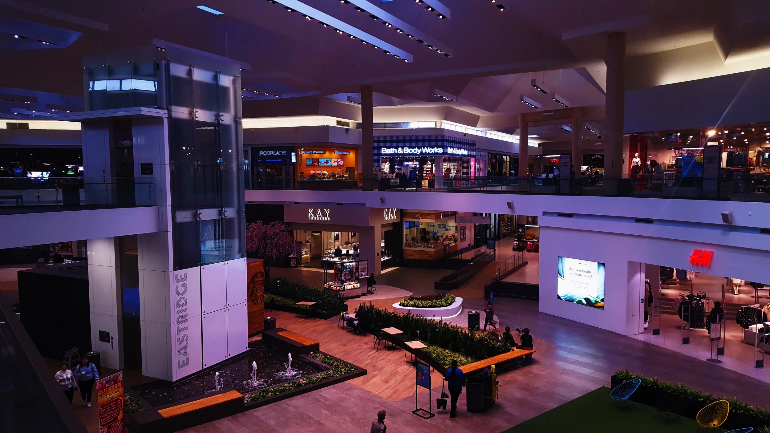 Starbucks Vista