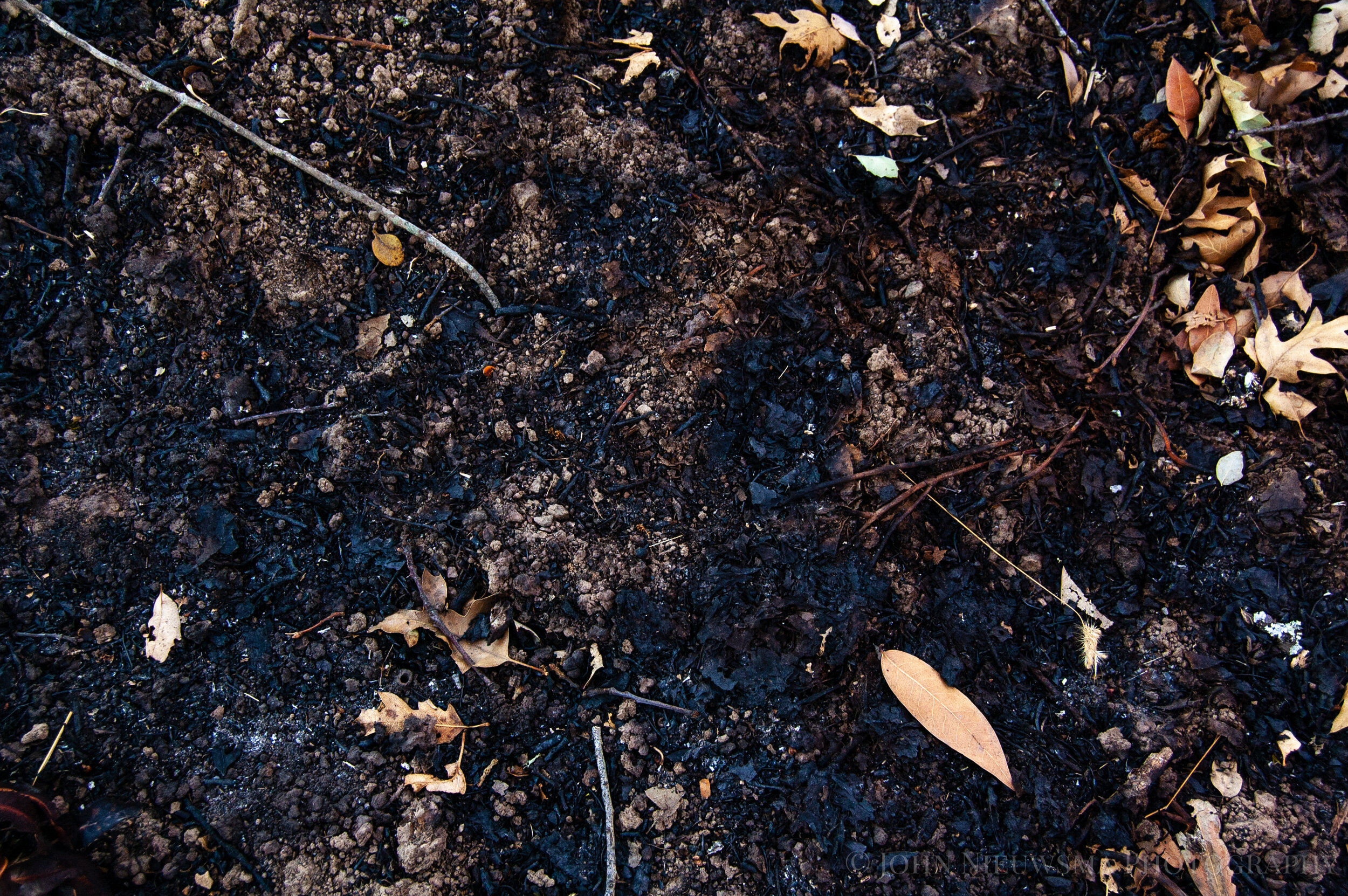 Fresh Soil