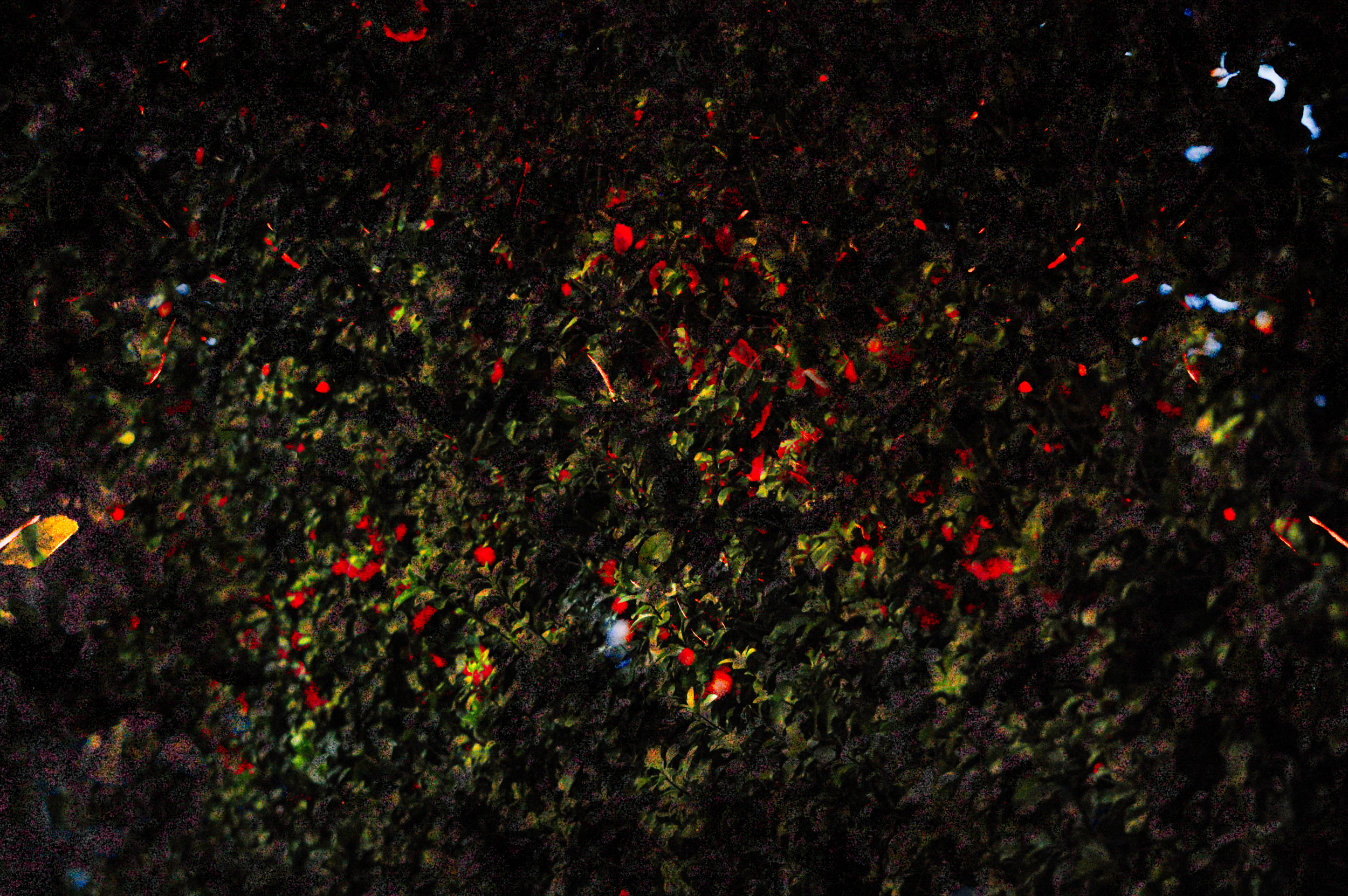 Mod Nine - Seasonal Guilt