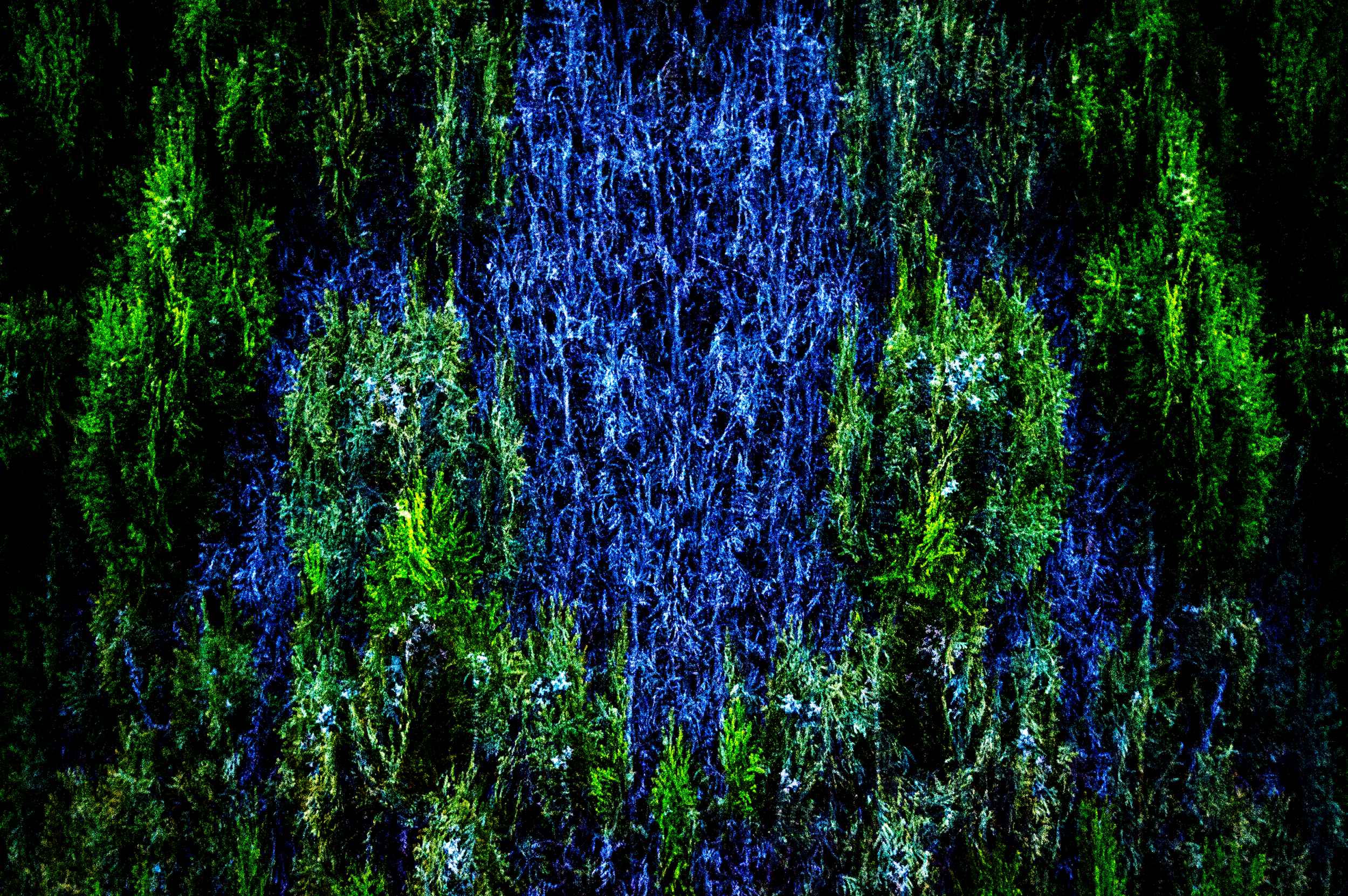 Mod One - Shrub Borderland