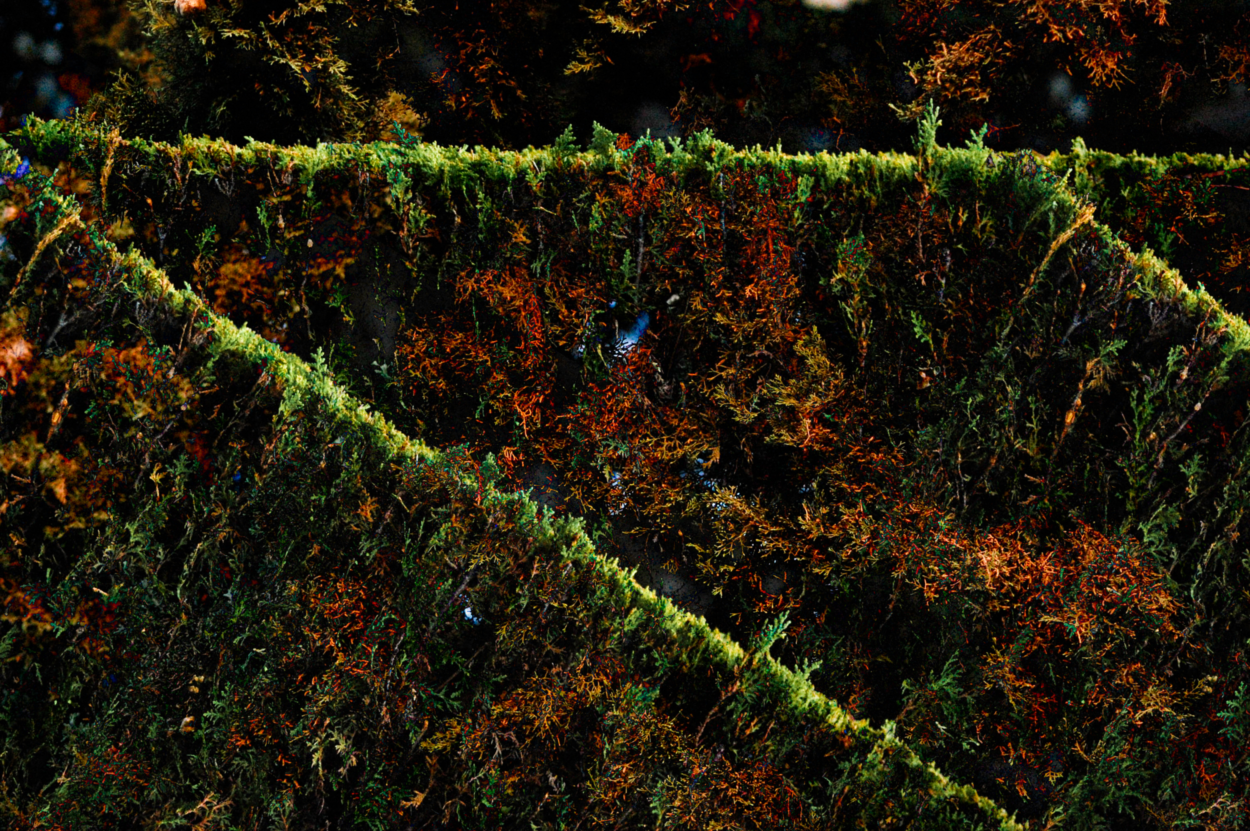 Mod Six - Passageways Along The Cliffside