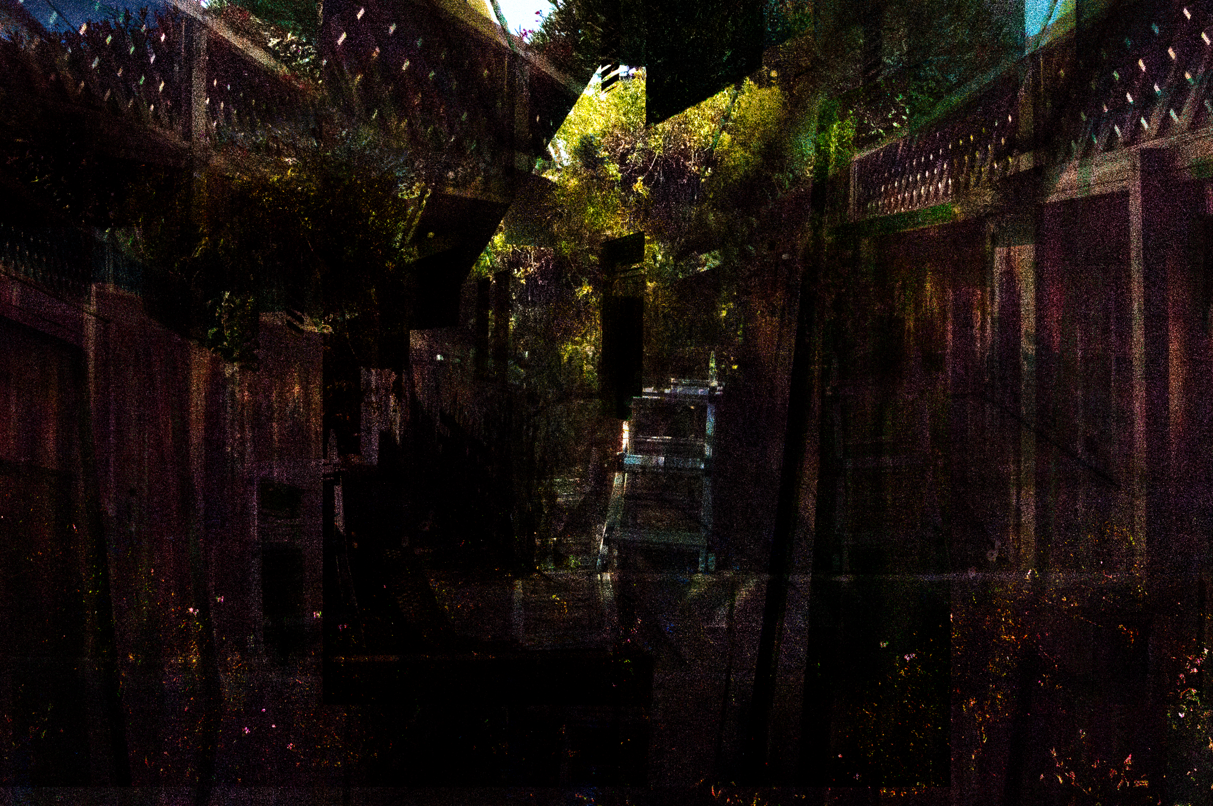 Mod Three - Harsh Overgrowth