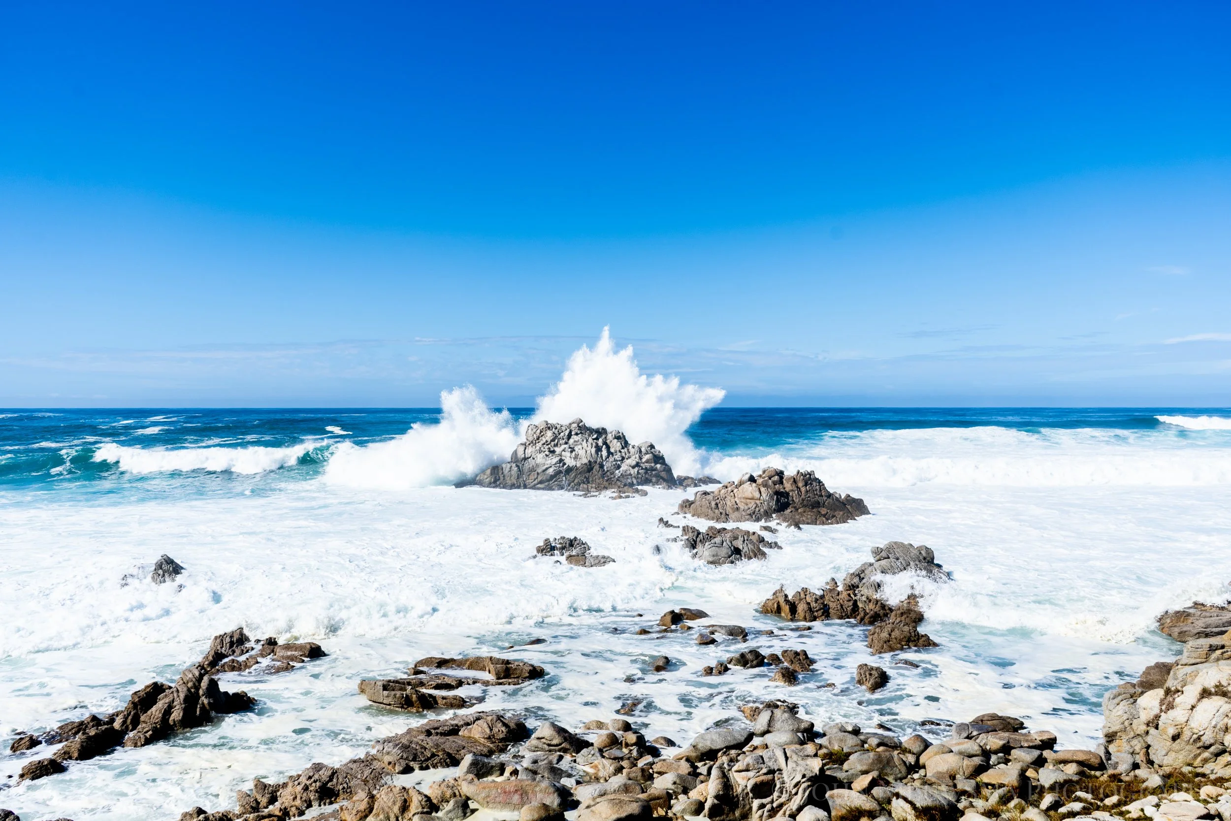 Rock peninsula off the Asilomar Trail