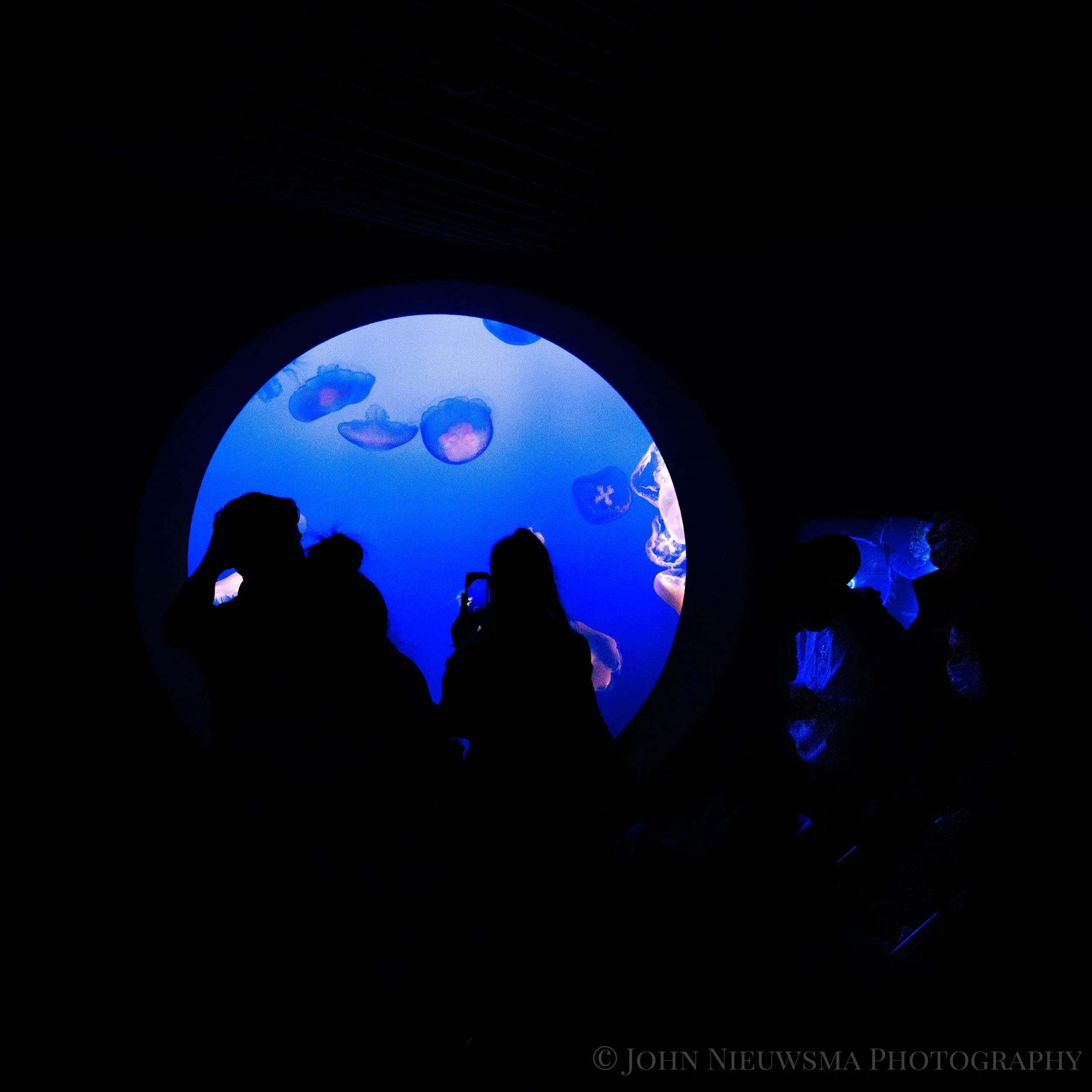 Blue Orbit