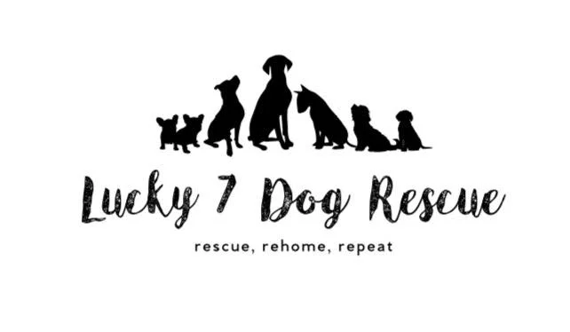 Lucky 7 Dog Rescue