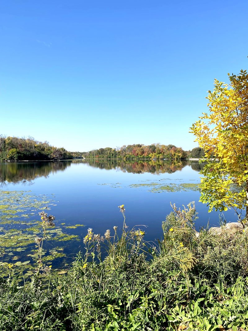 minnesota-lake.jpg