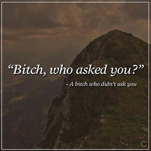 bitch-who-asked-you-a-bitch-who-didnt-ask-you-quote-1.jpg