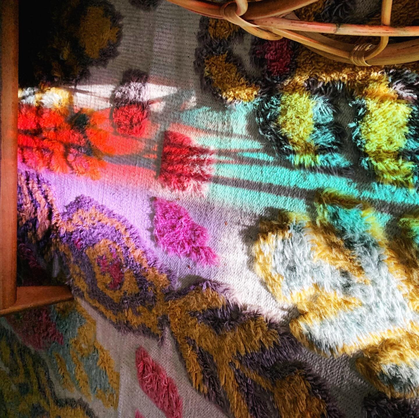 at sunset, the colors on my front door sneak under the couch