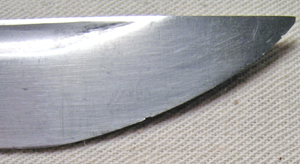 DSCN1384.JPG