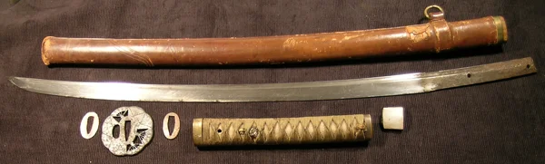 DSCN3730.JPG